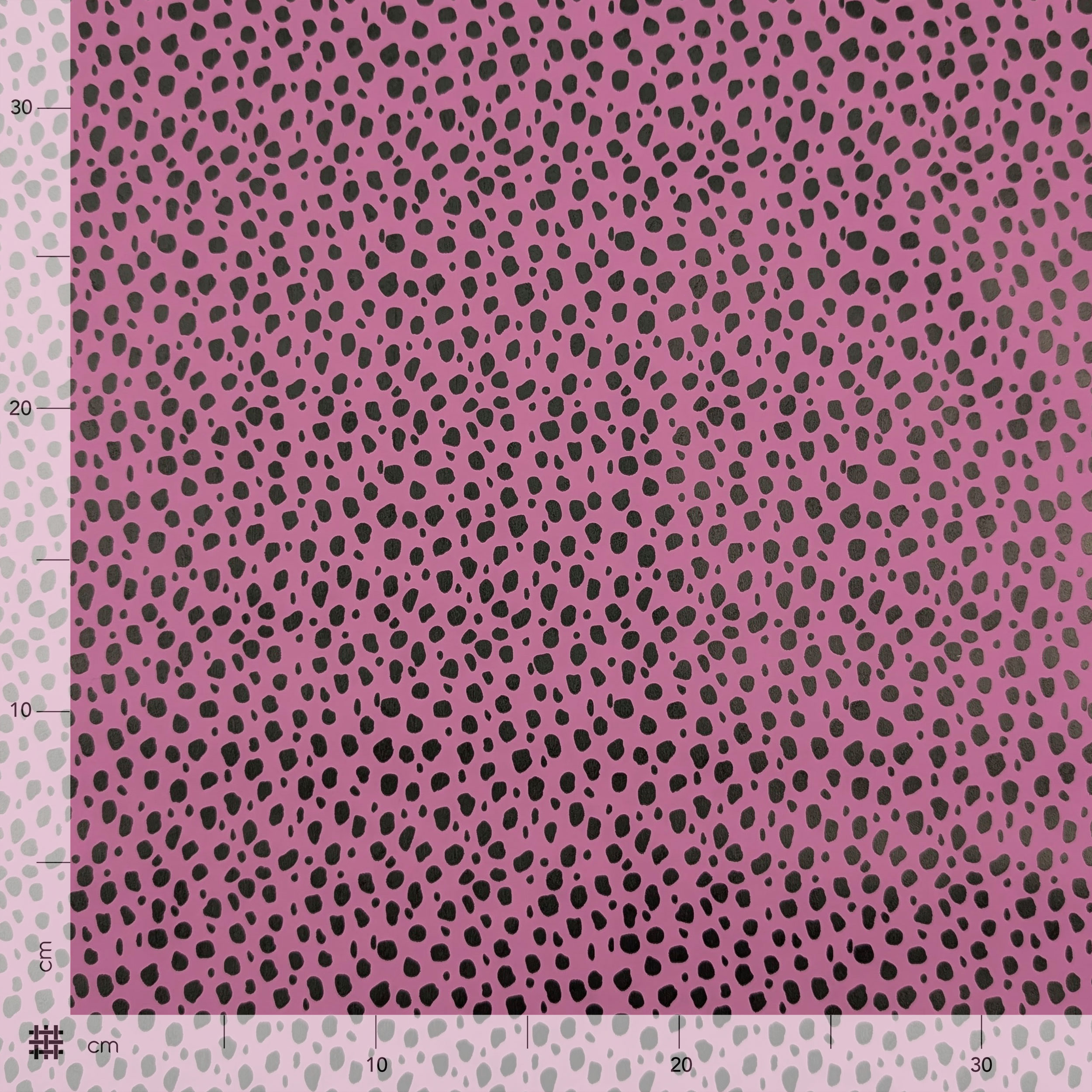 Mackintosh Leopard Background Violet Image