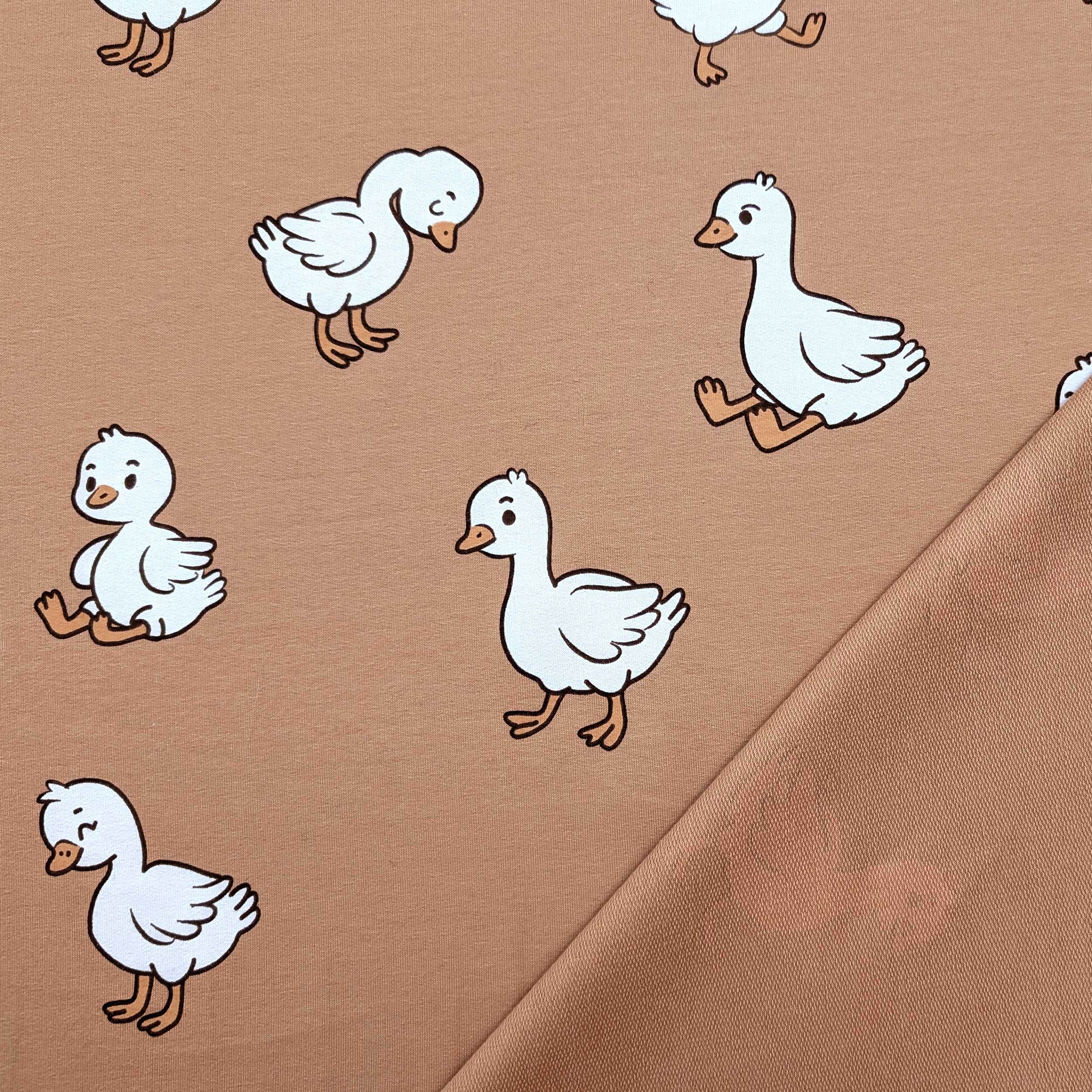 Sweatshirt French Terry Ducks Image