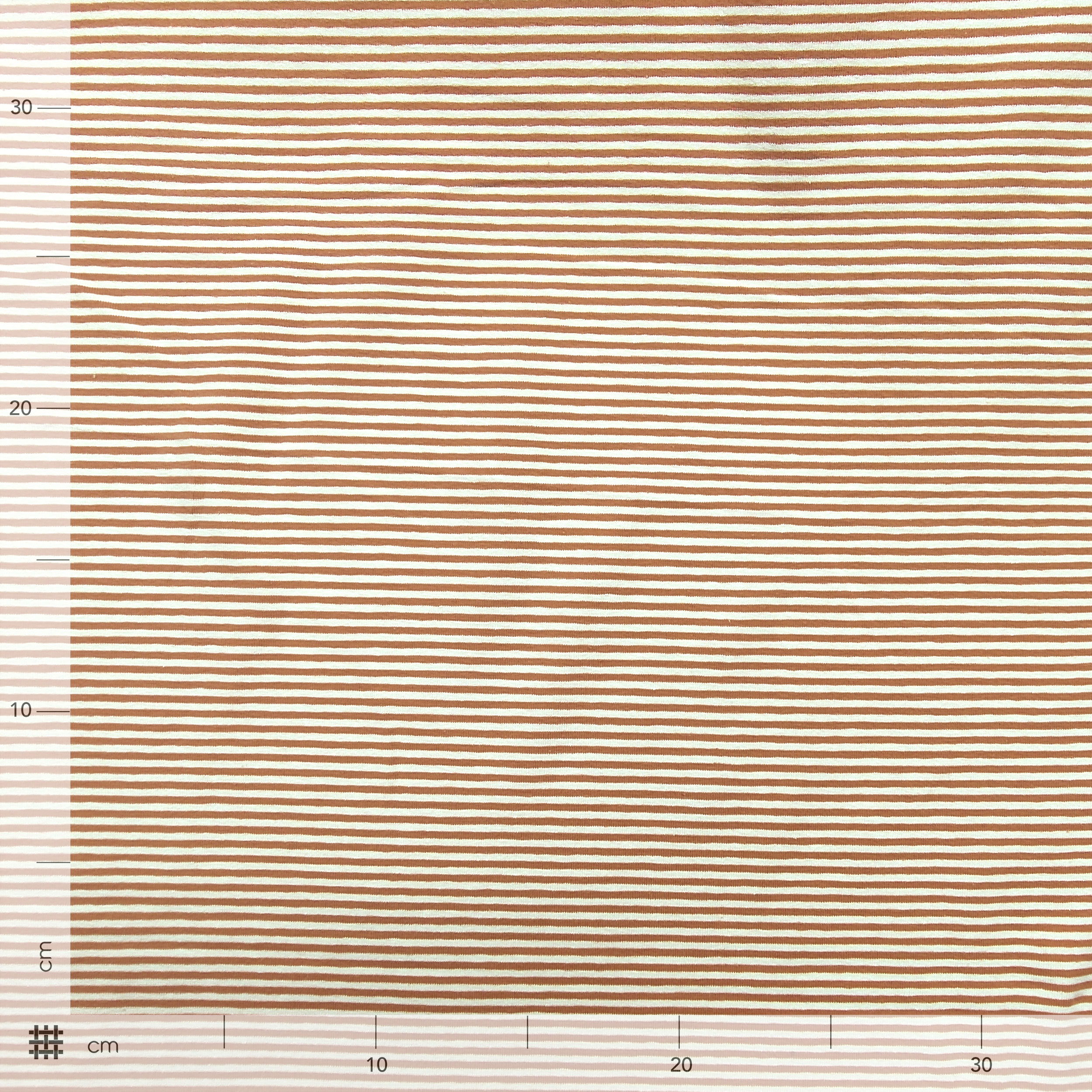 Yarn-dyed Jersey Cotton Coloured Stripes Image