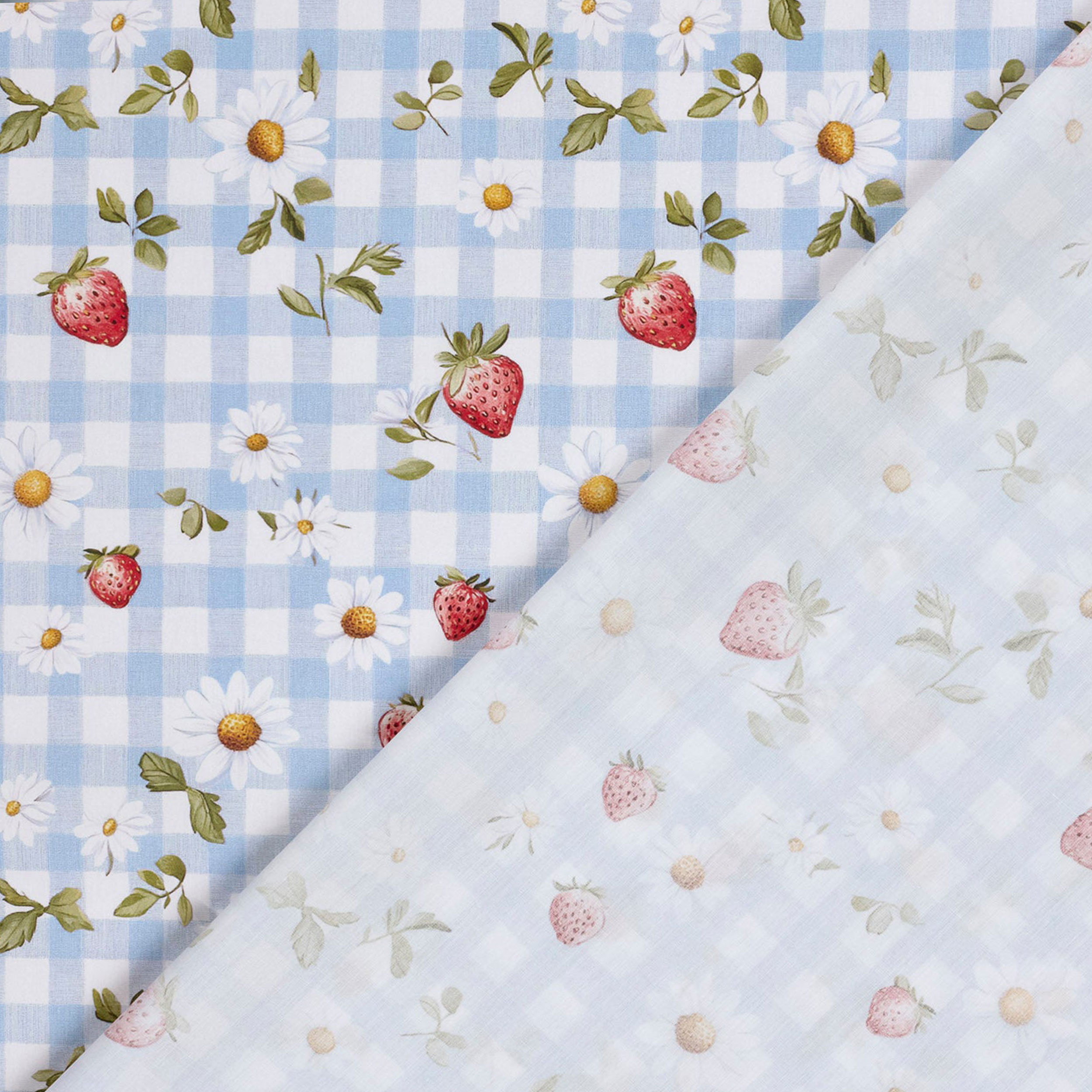 Light Blue and Strawberry Check Cotton Poplin Image
