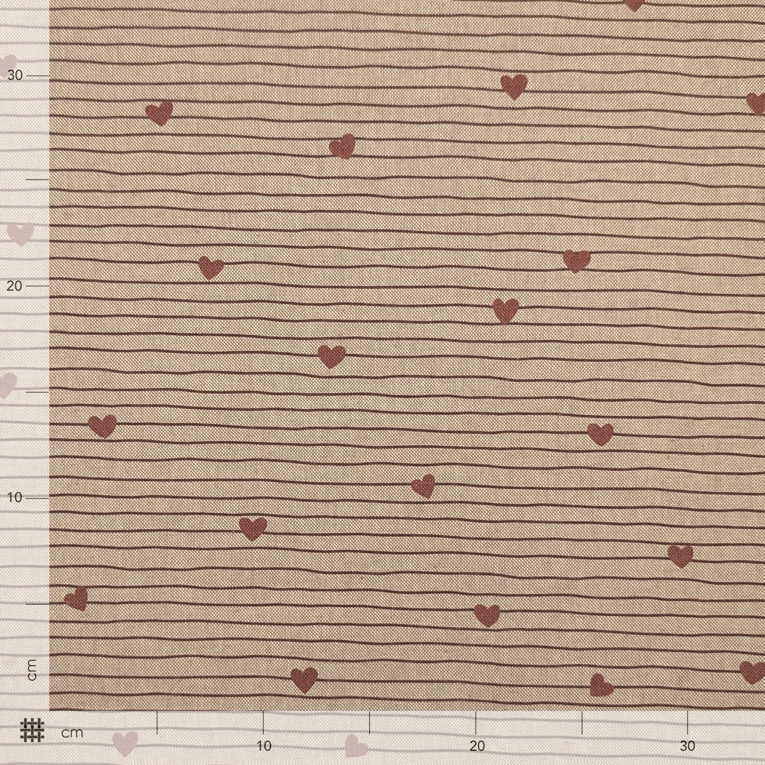 Panama Hearts and Stripes Image