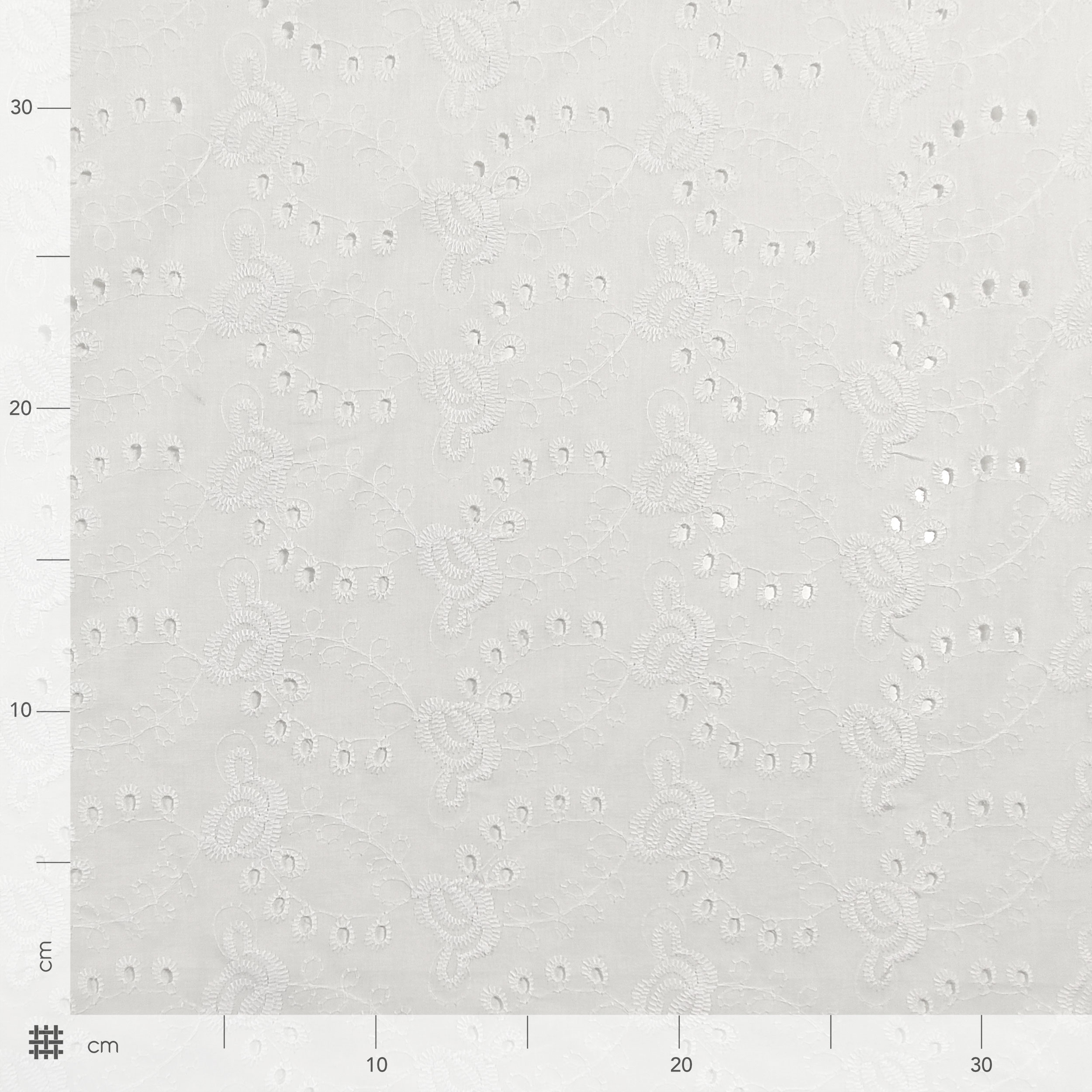 White Cotton Sangallo Roselline