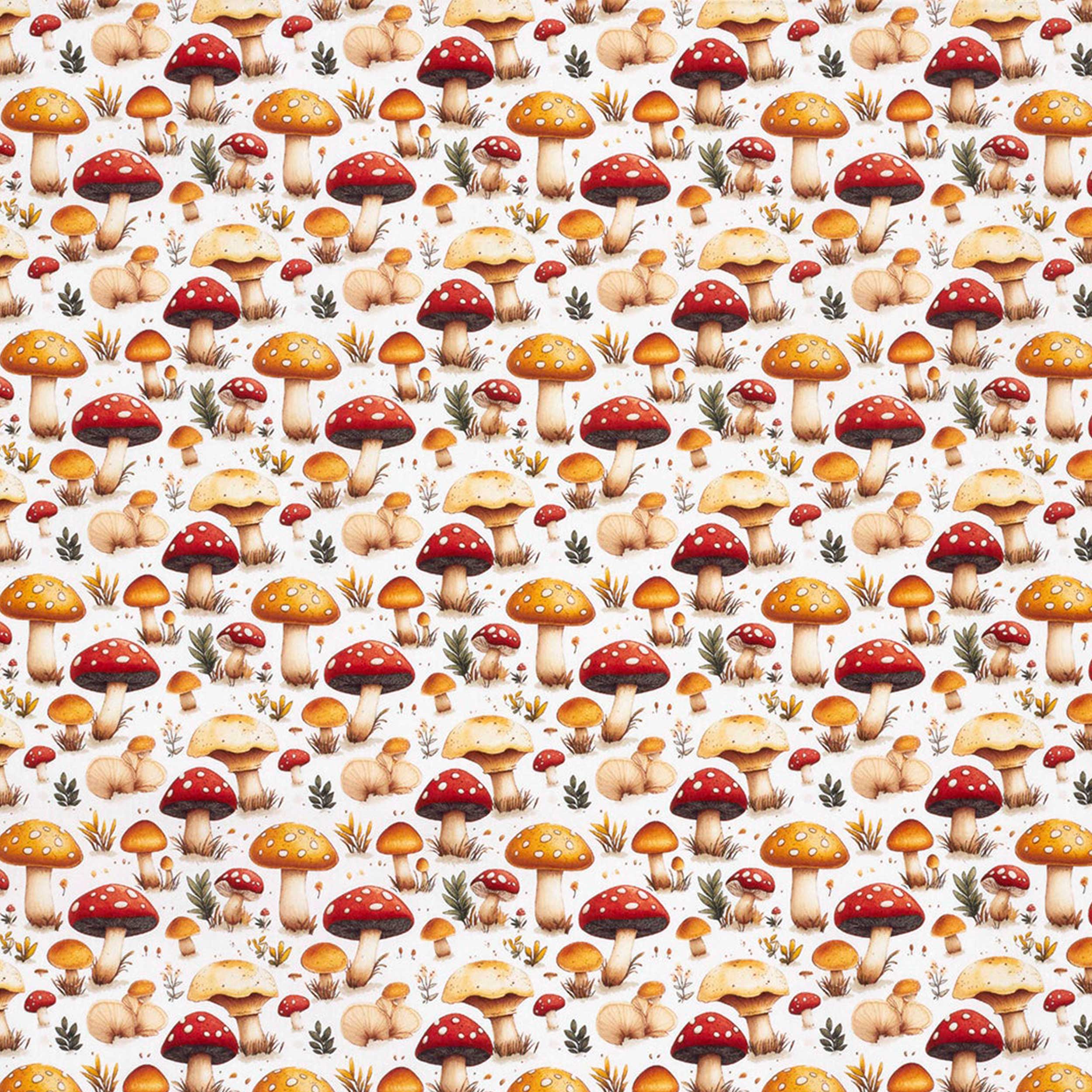 Poplin Cotton Mushroom White Background Image