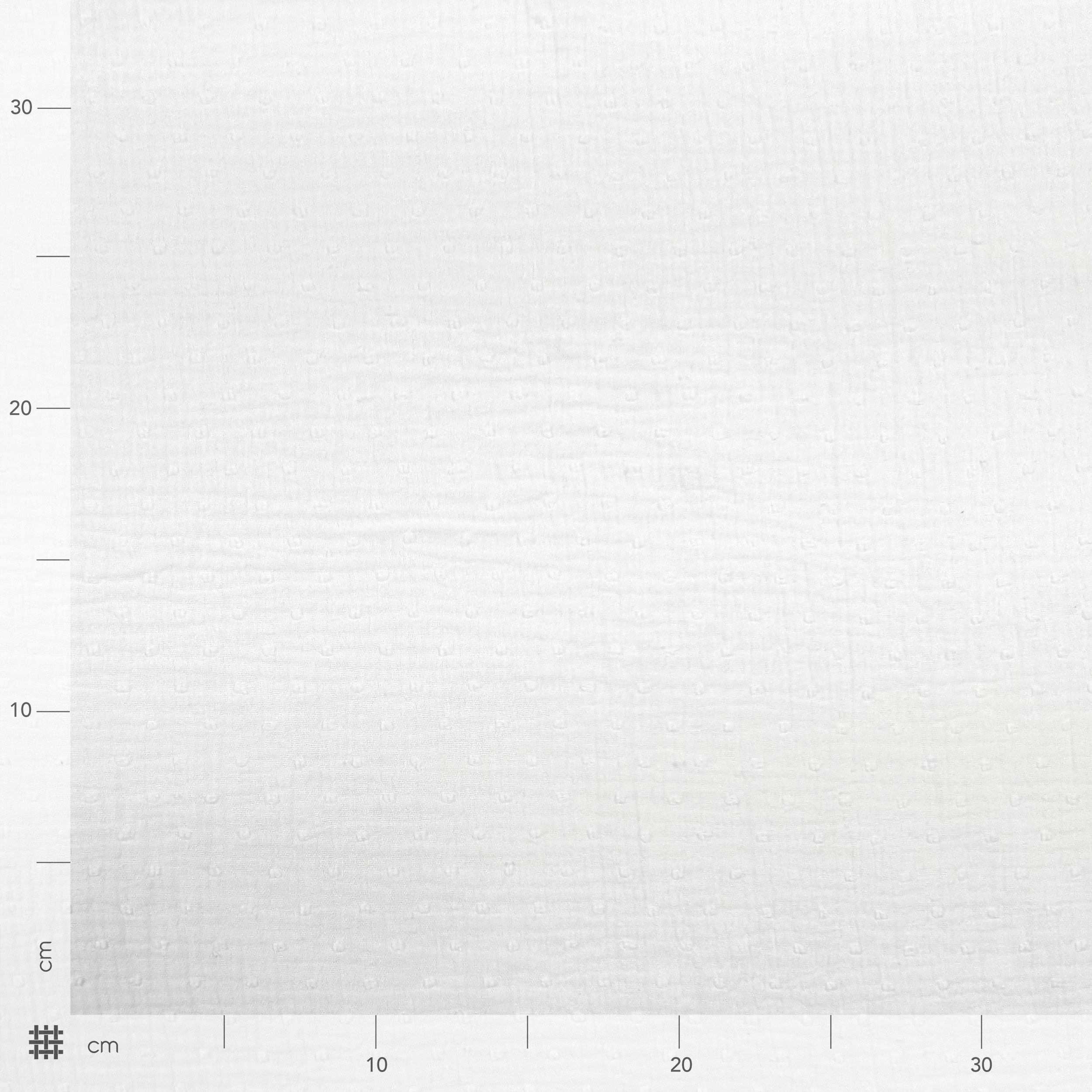 Plumetis Optical White Cotton Muslin Image