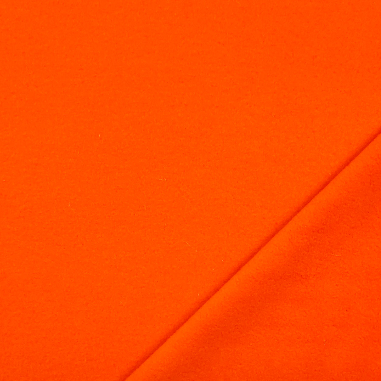Polar Fleece  Image