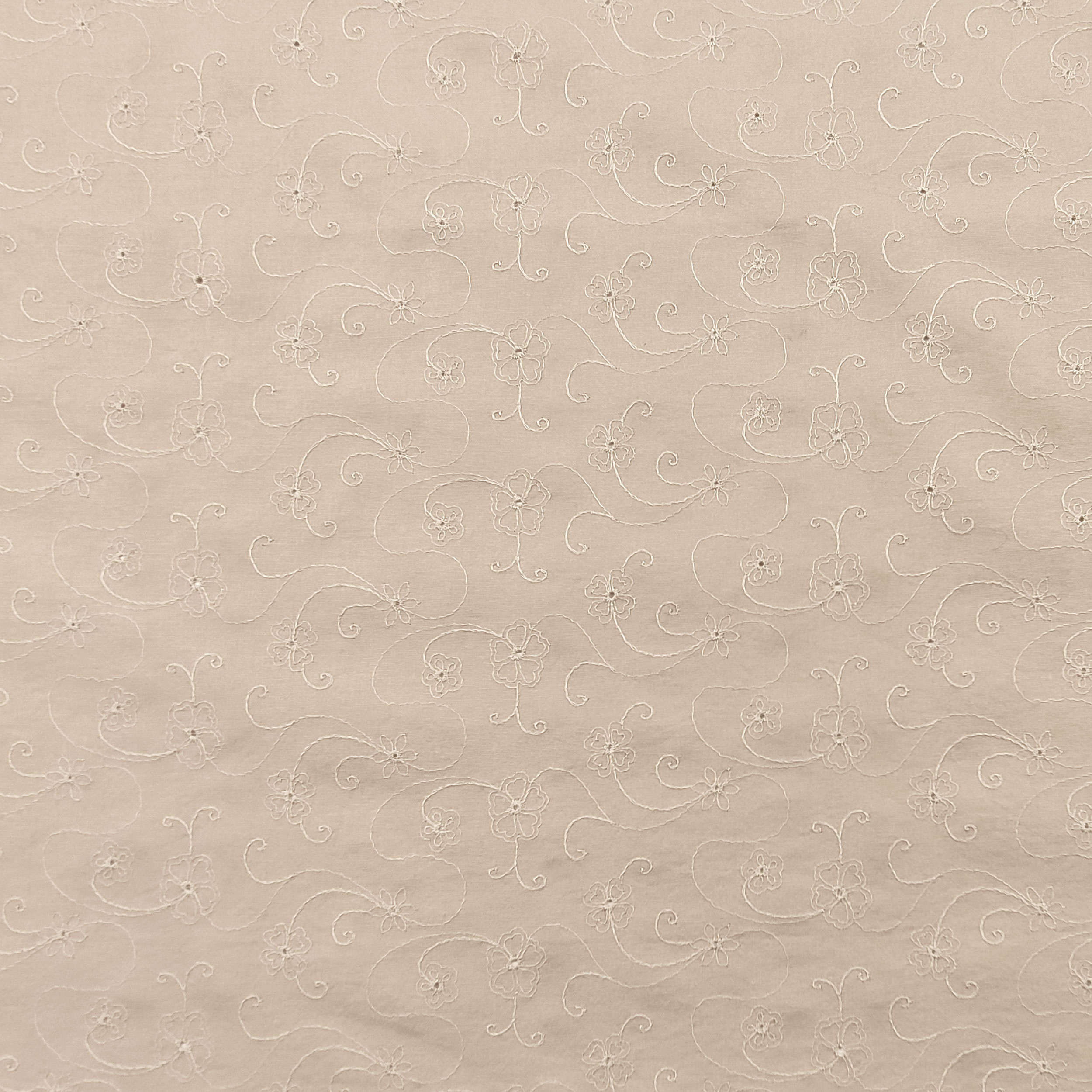Cotton Sangallo Beige