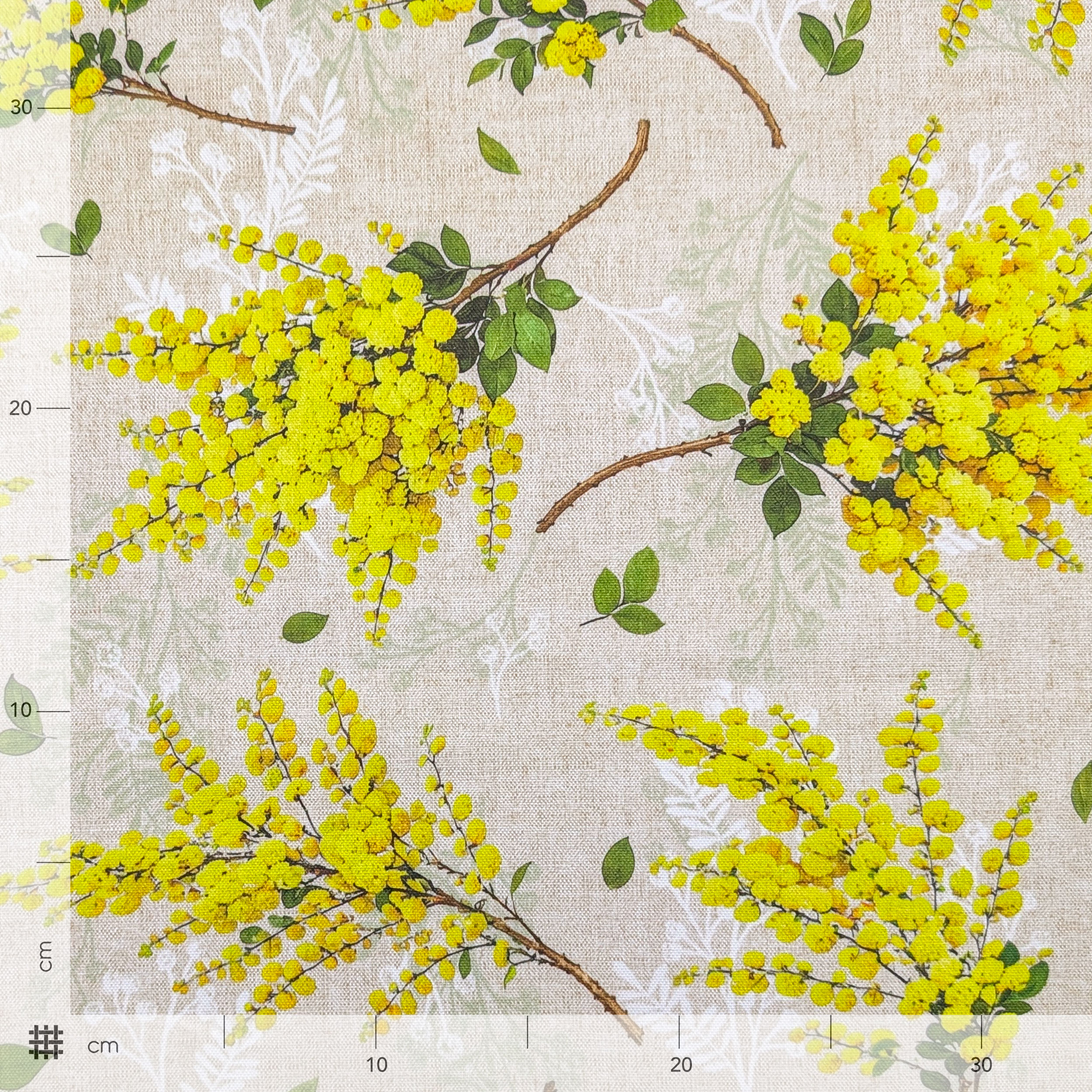 Panama Mimosas Ecru Background Image
