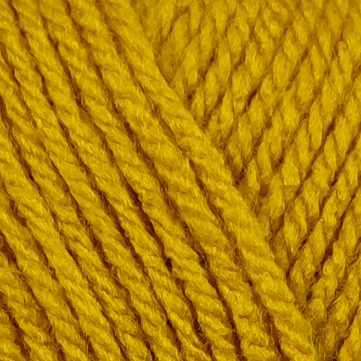 Mustard - 1636