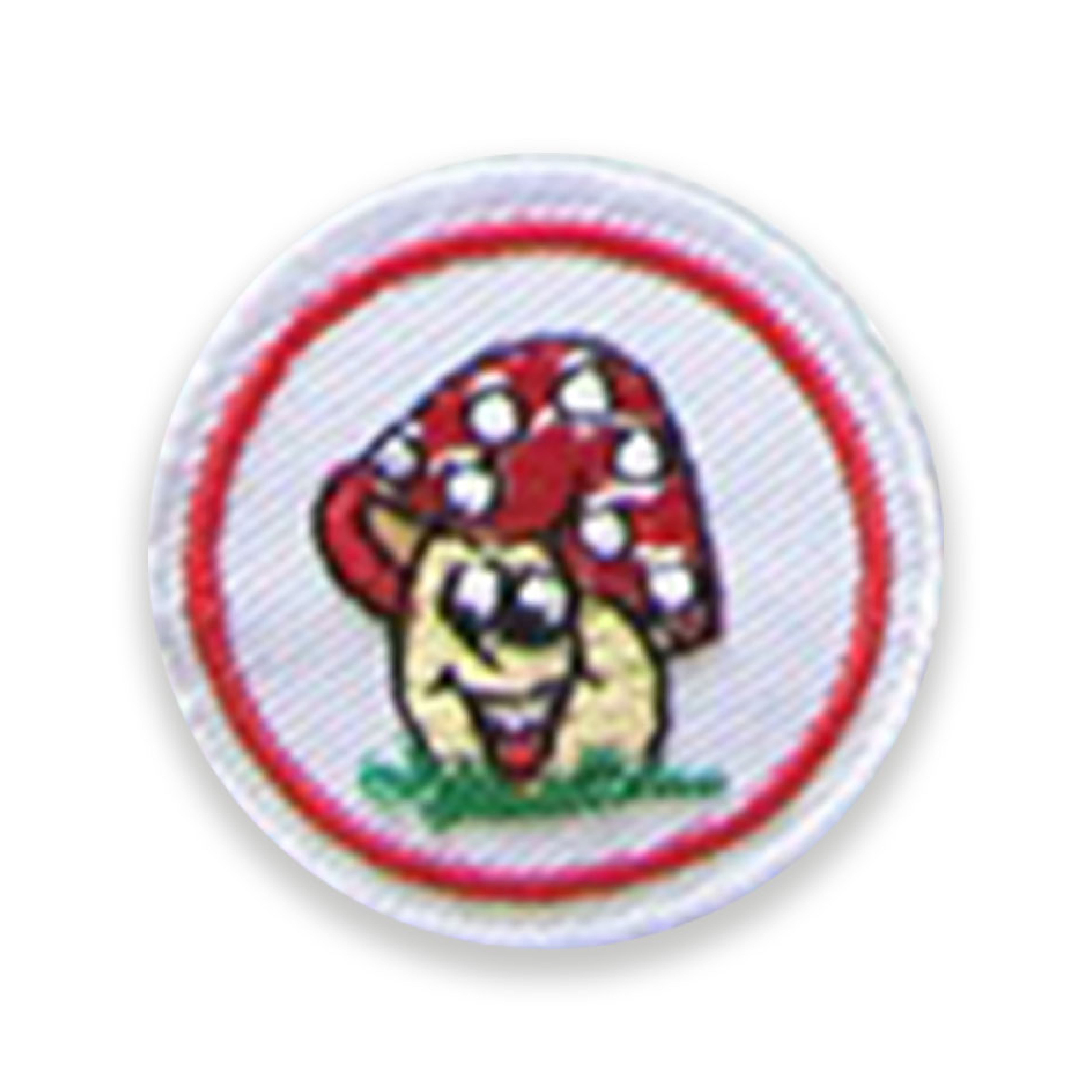 Mushroom
