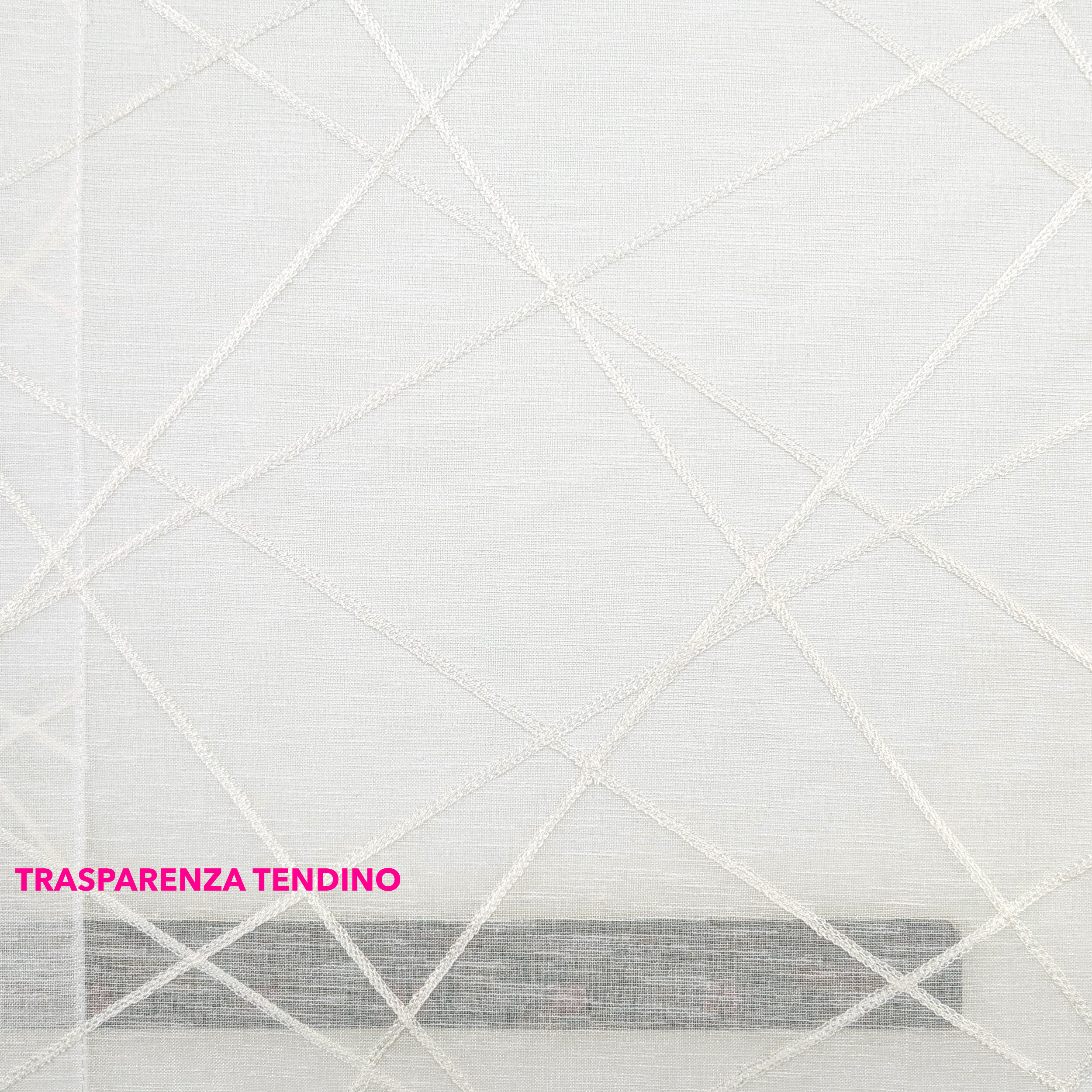 Embroidered White Line Curtain Fabric Image