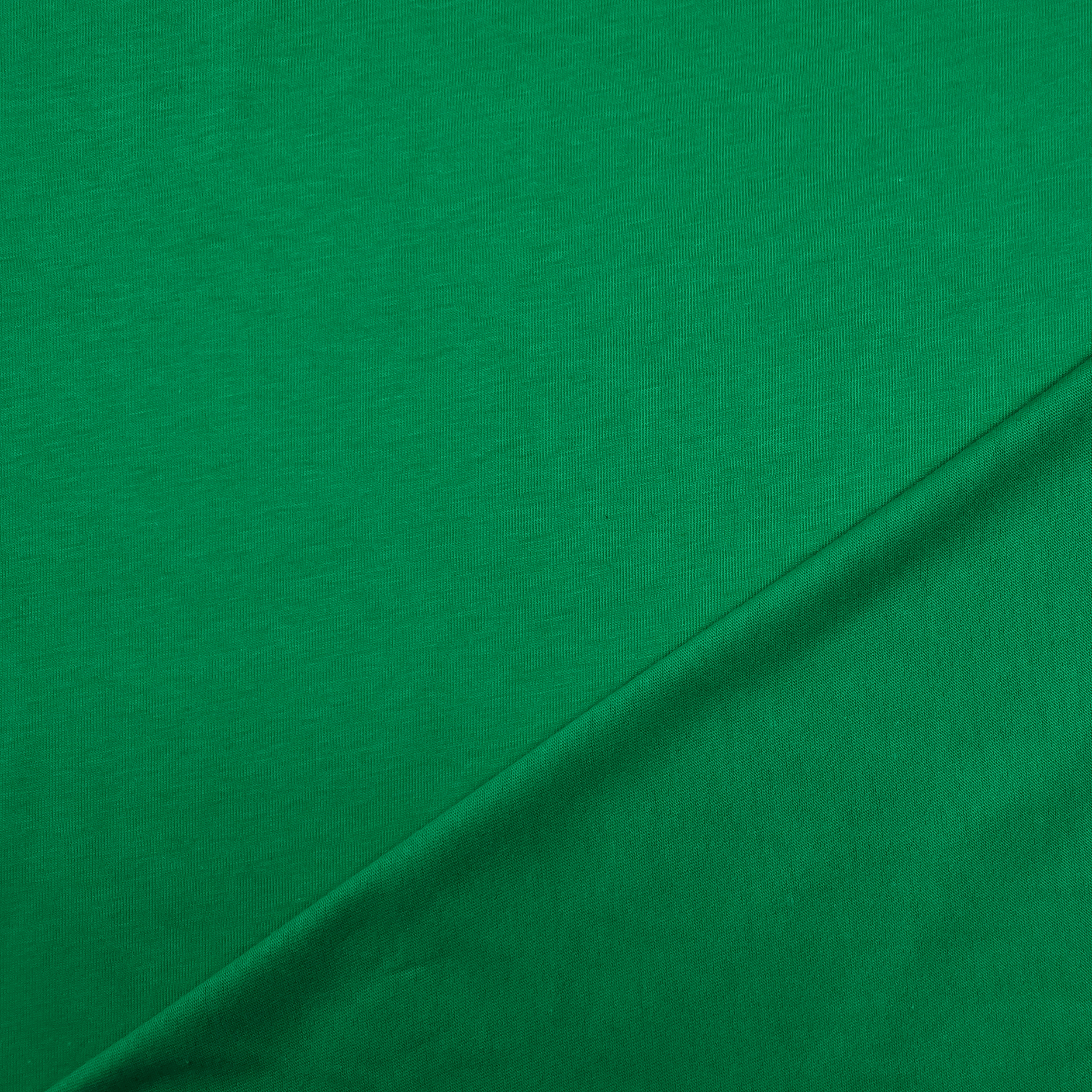 Cotton Jersey Unicolour Image