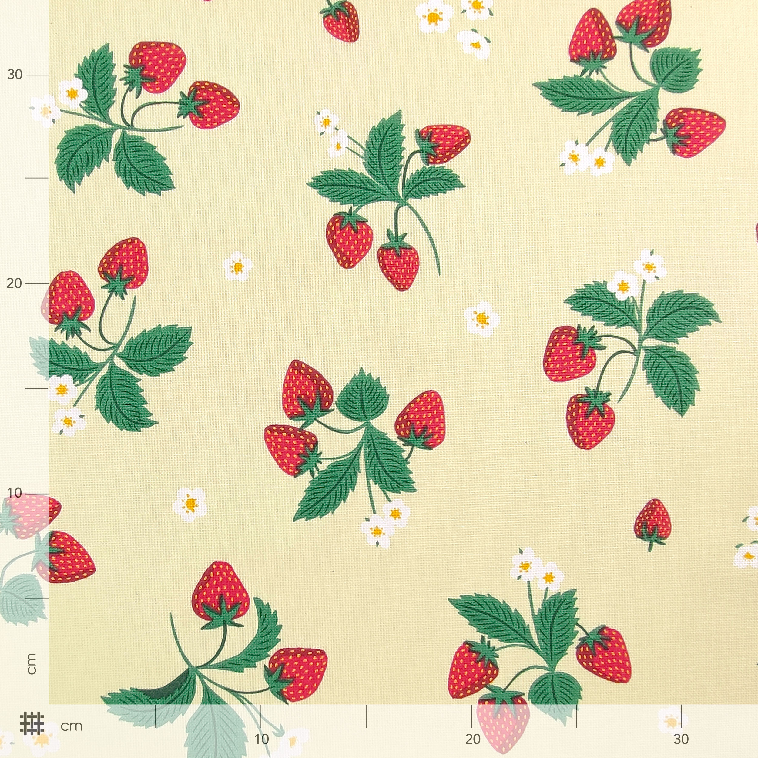 Ausschnitt Panama-Stoff Erdbeere 50x140 cm