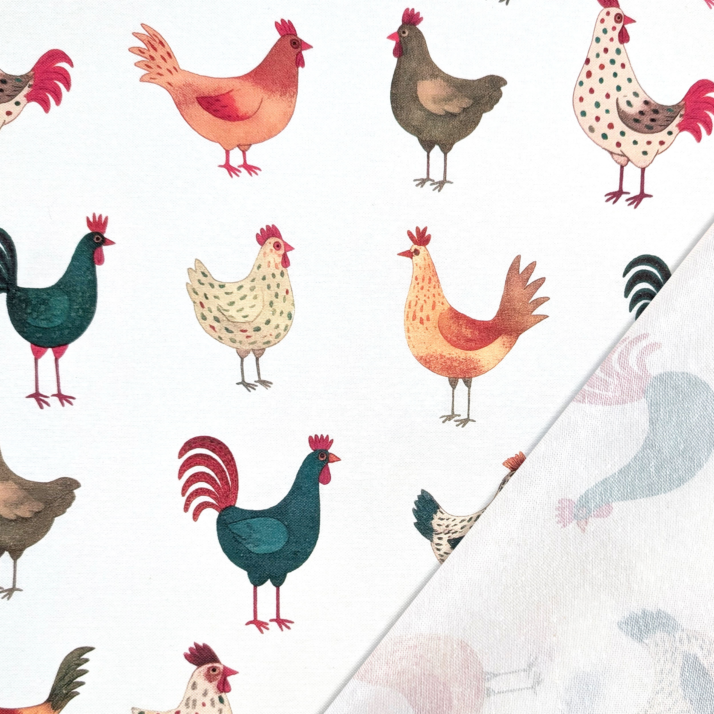 Panama Pure Cotton White Hens Image