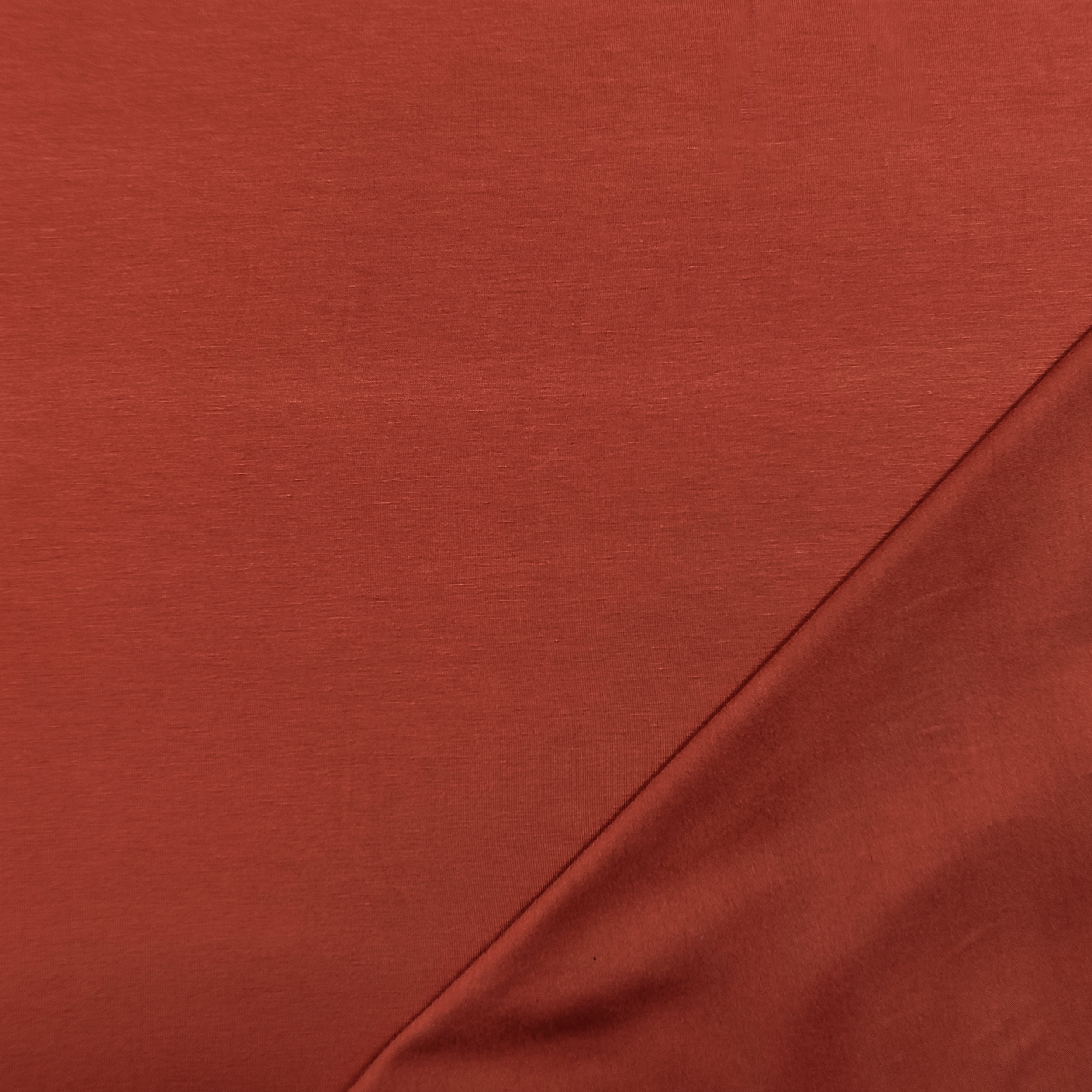 Unicolour Viscose Jersey Image