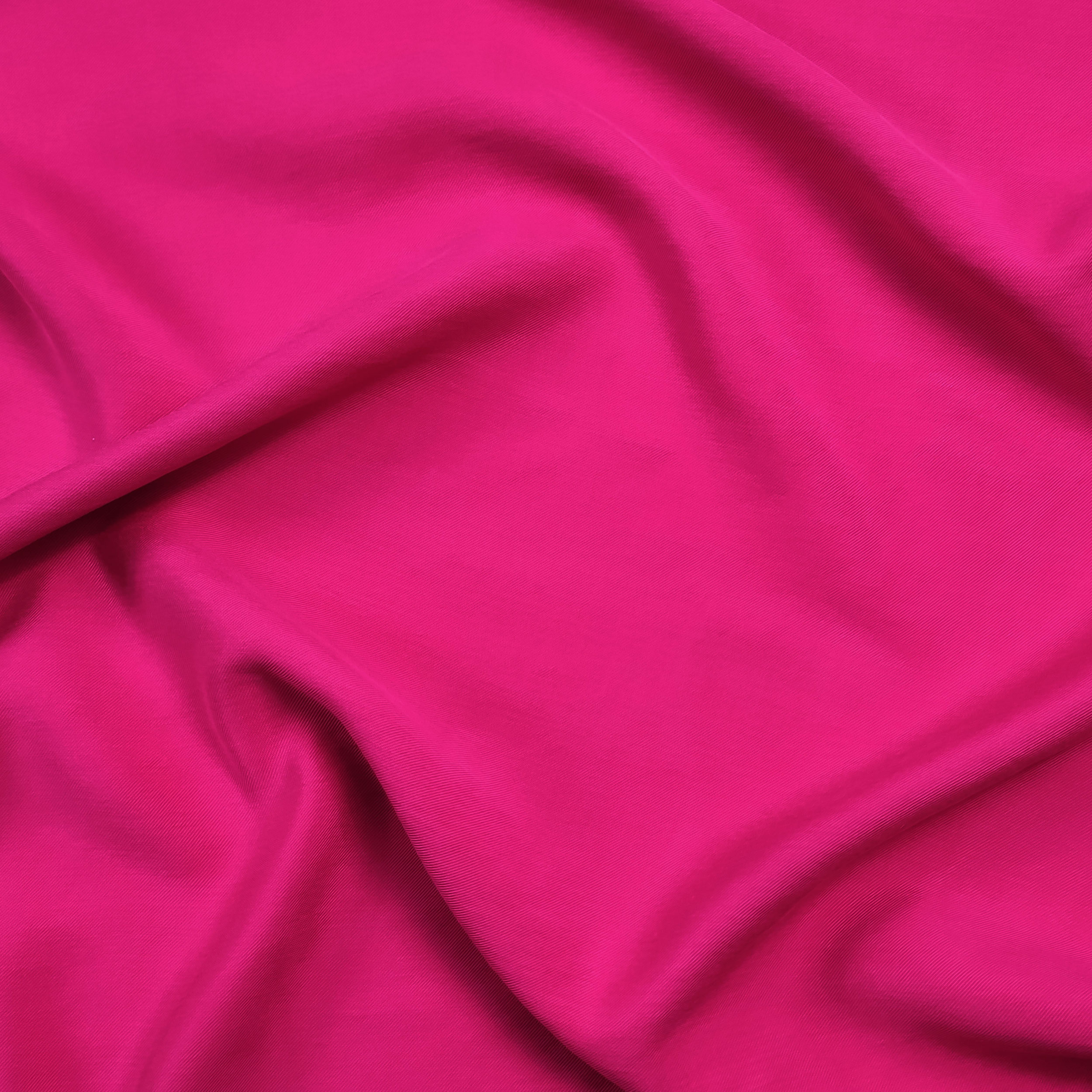 Fuchsia - 13