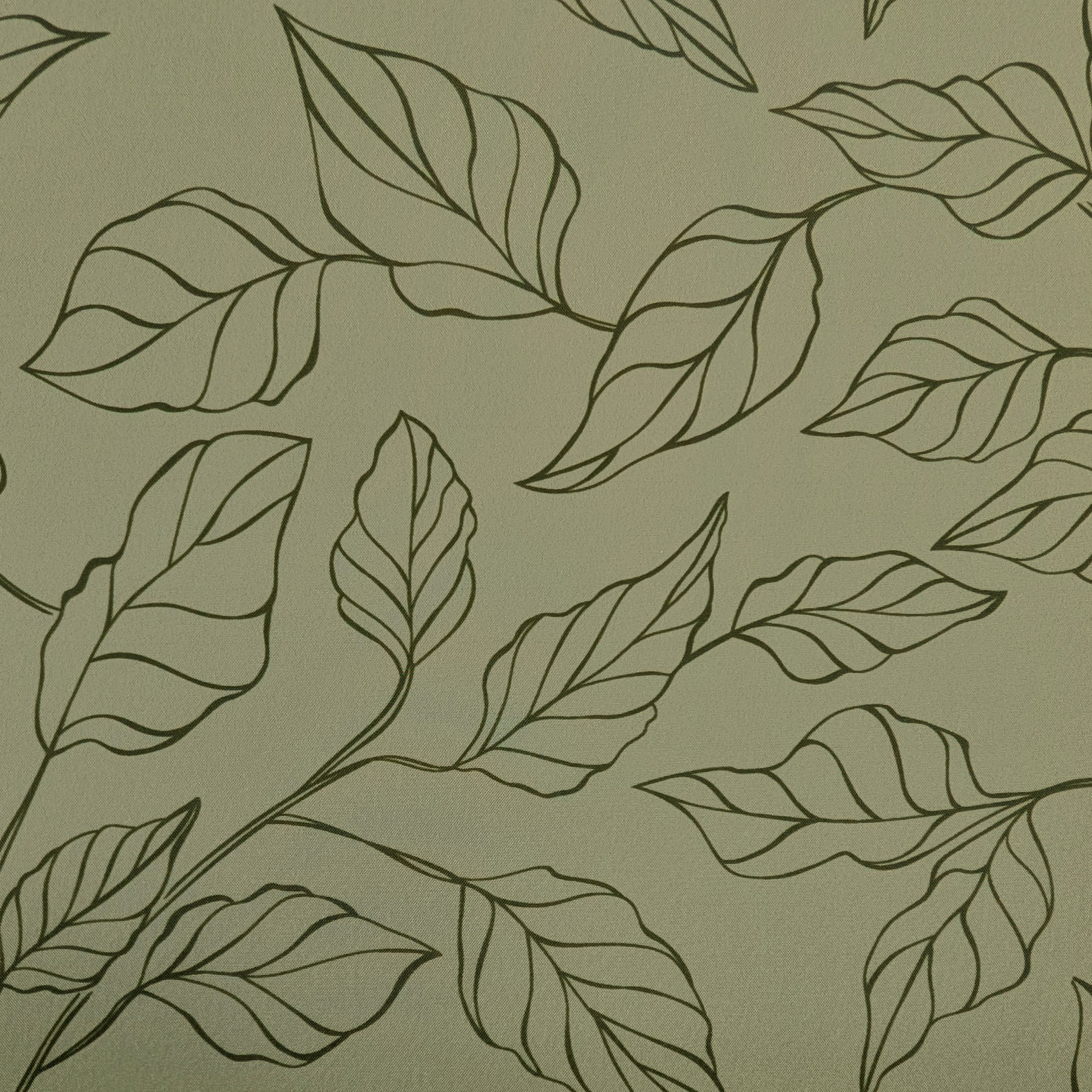 Kitchen Leaves Green Background Image