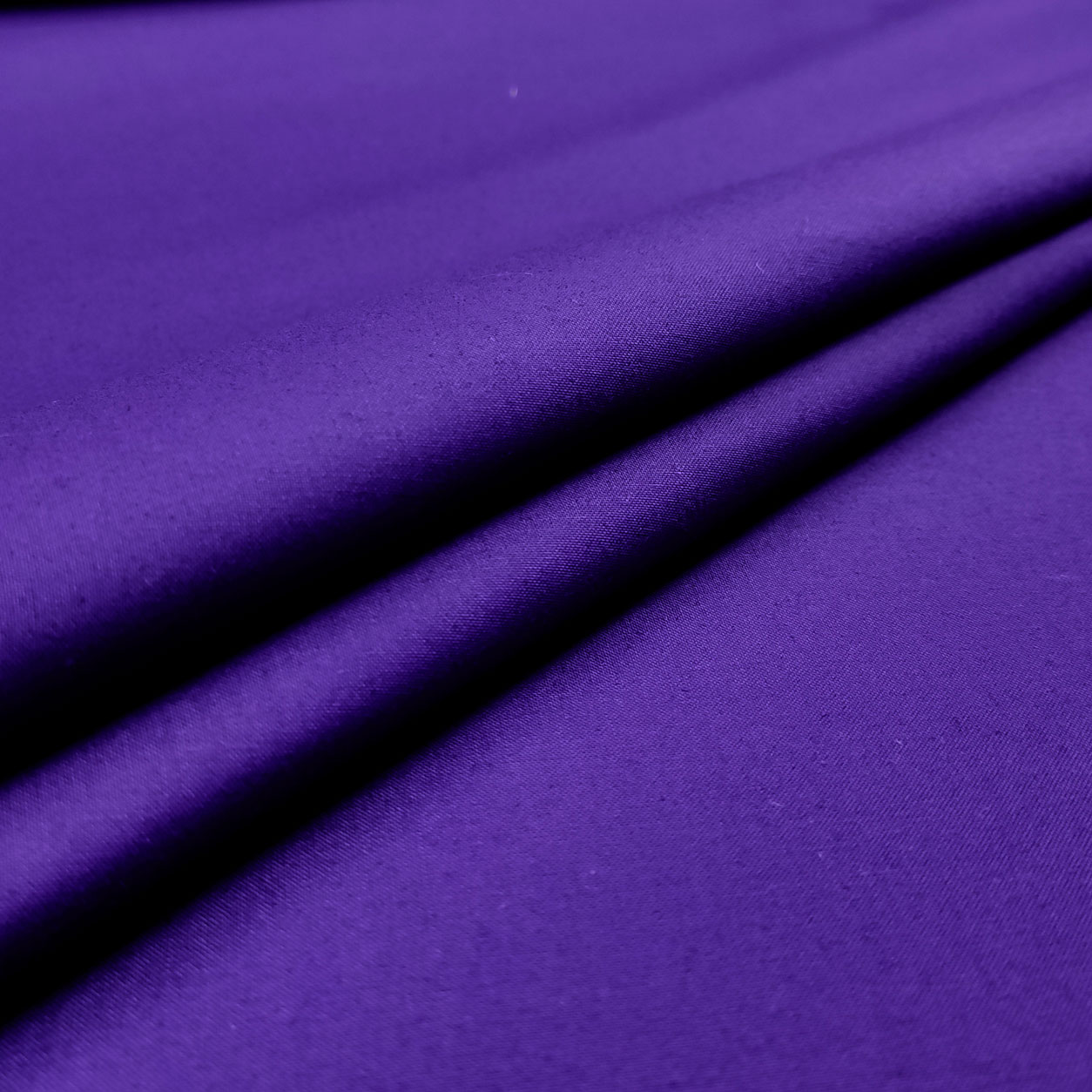 Violet - 201