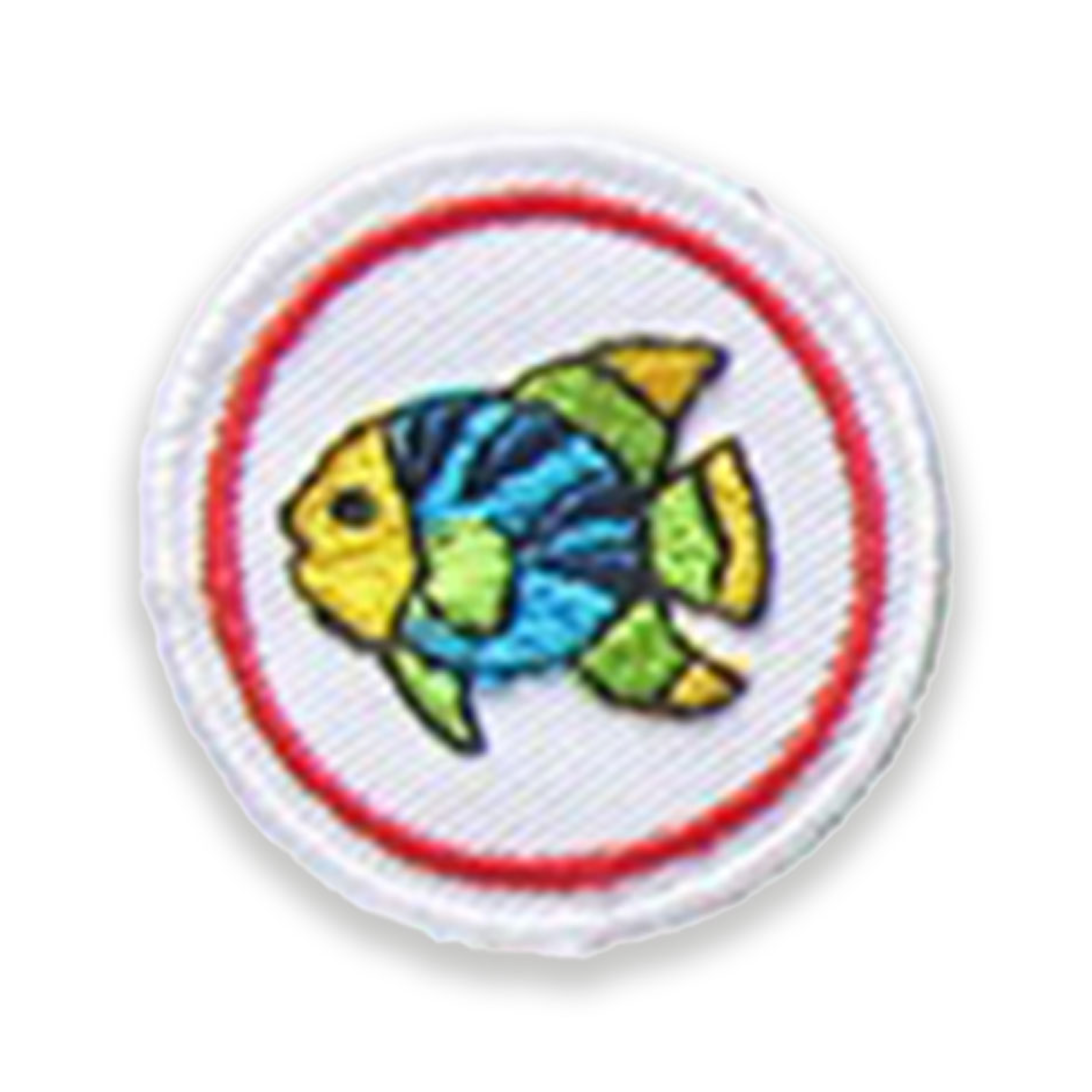 Little fish