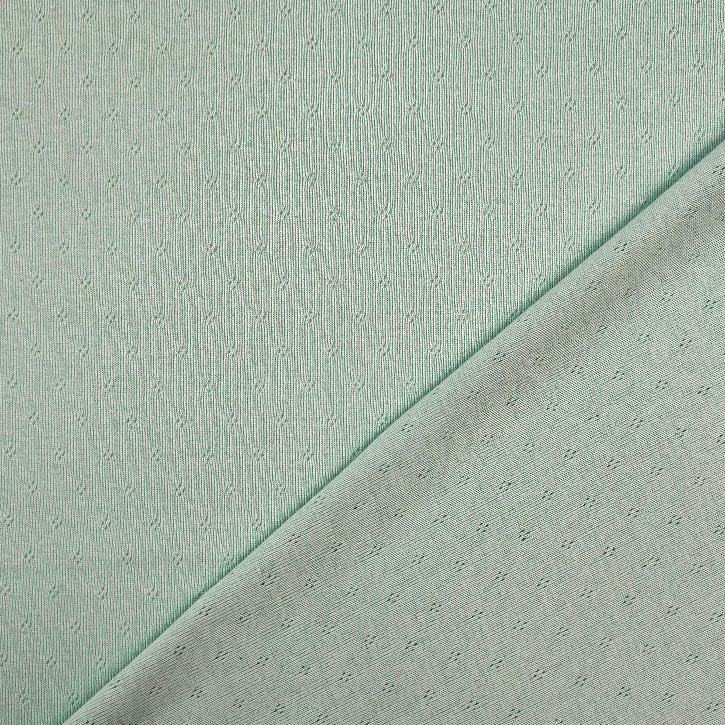 Jersey Cotton Jersey Perforated Flowers on a Mint Background Image