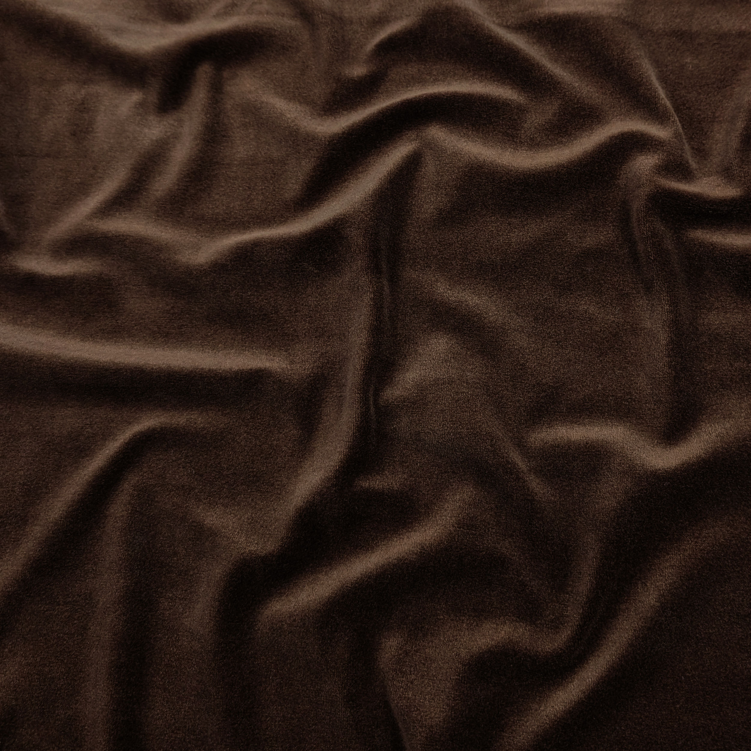 Cotton Velveteen Brown Image