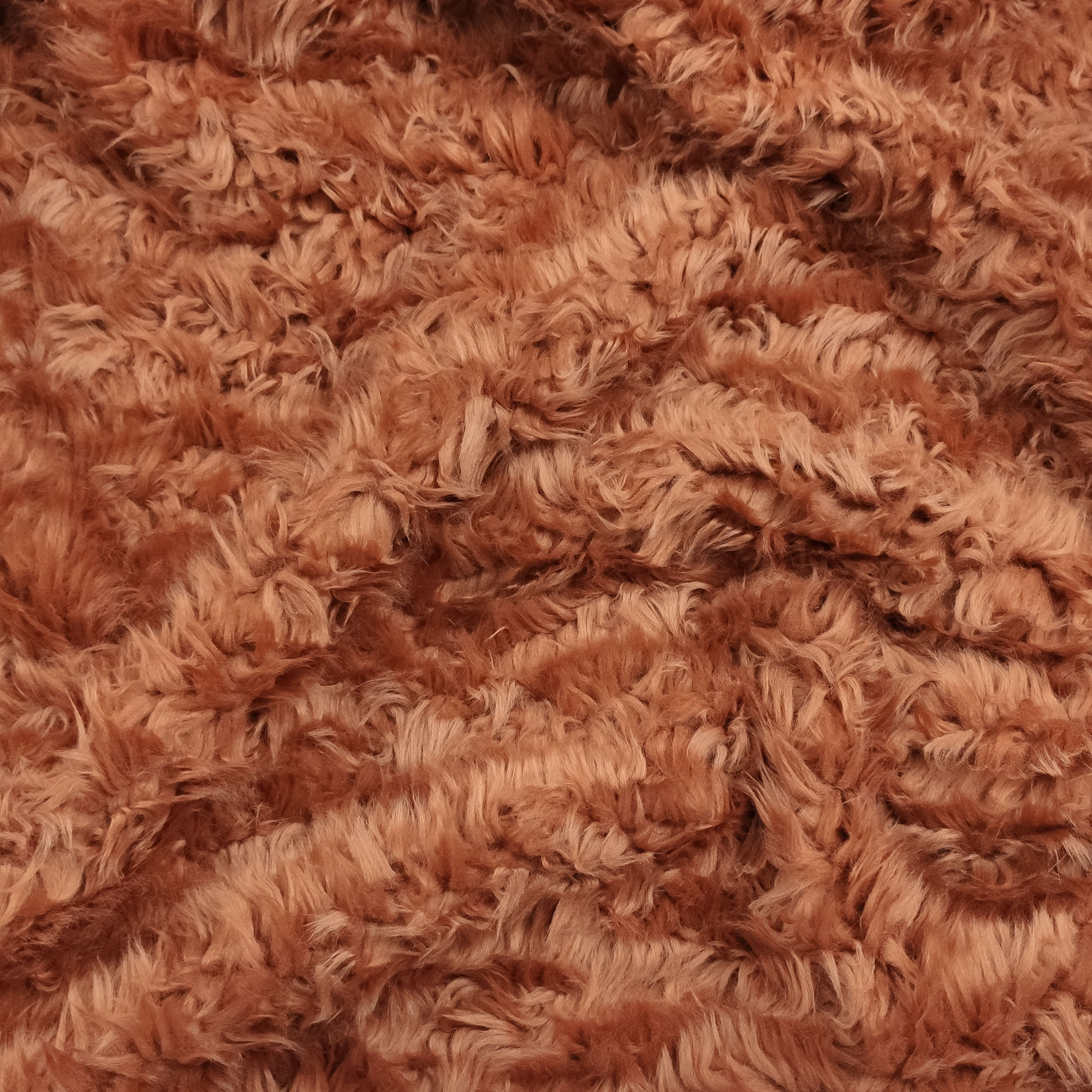 Burnt Fur