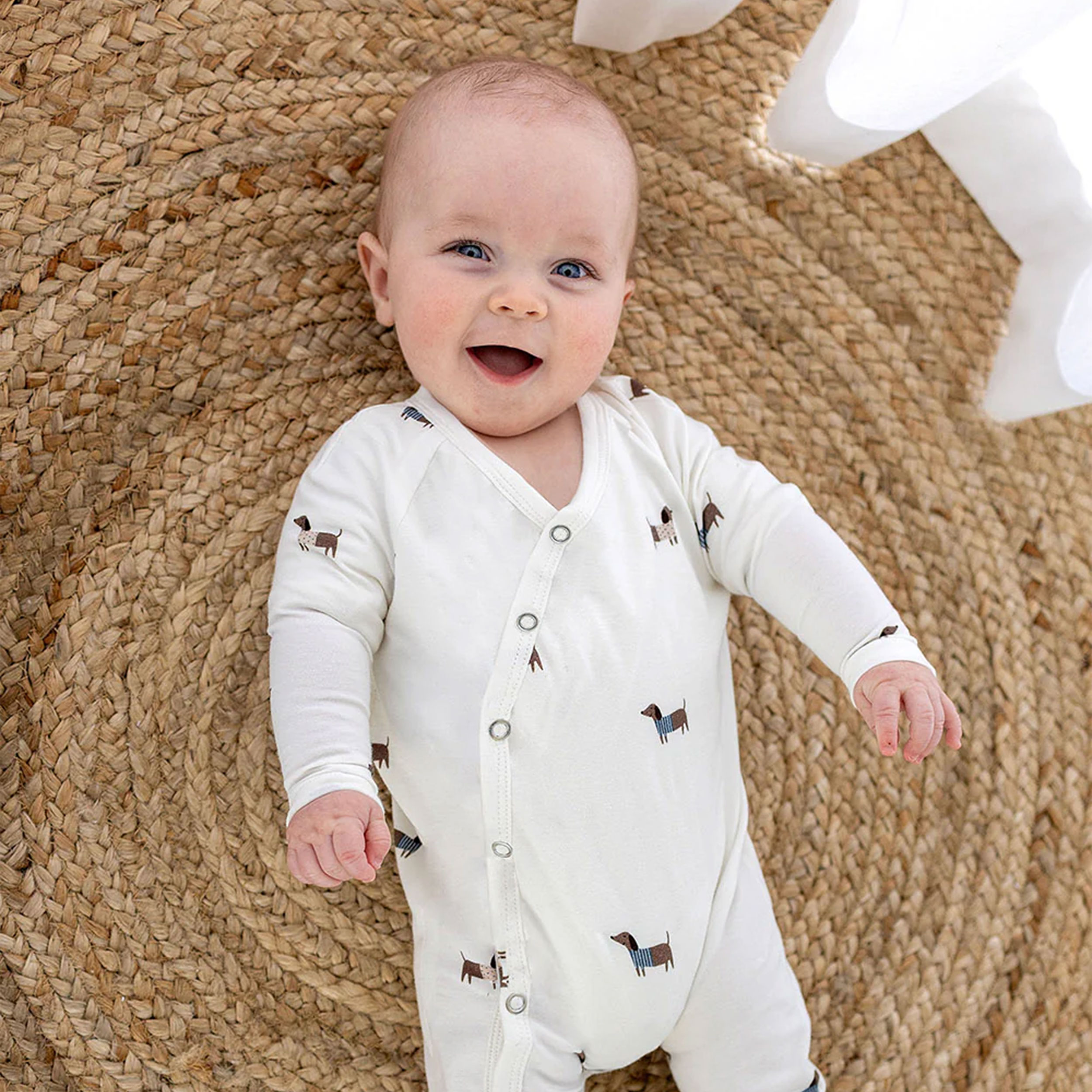 White cotton jersey Dolci Bassotti Image