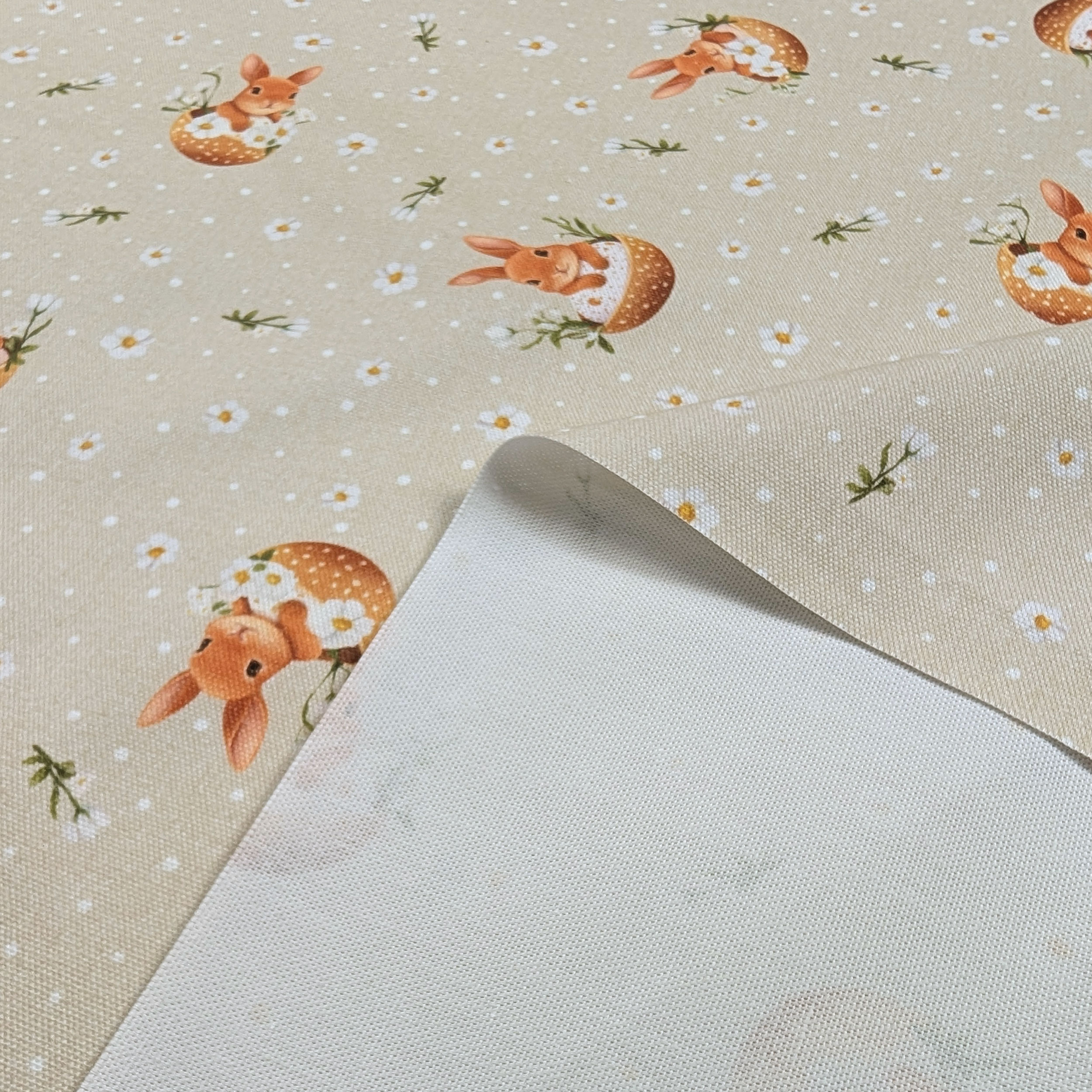 Panama Daisies and Easter Bunnies Image