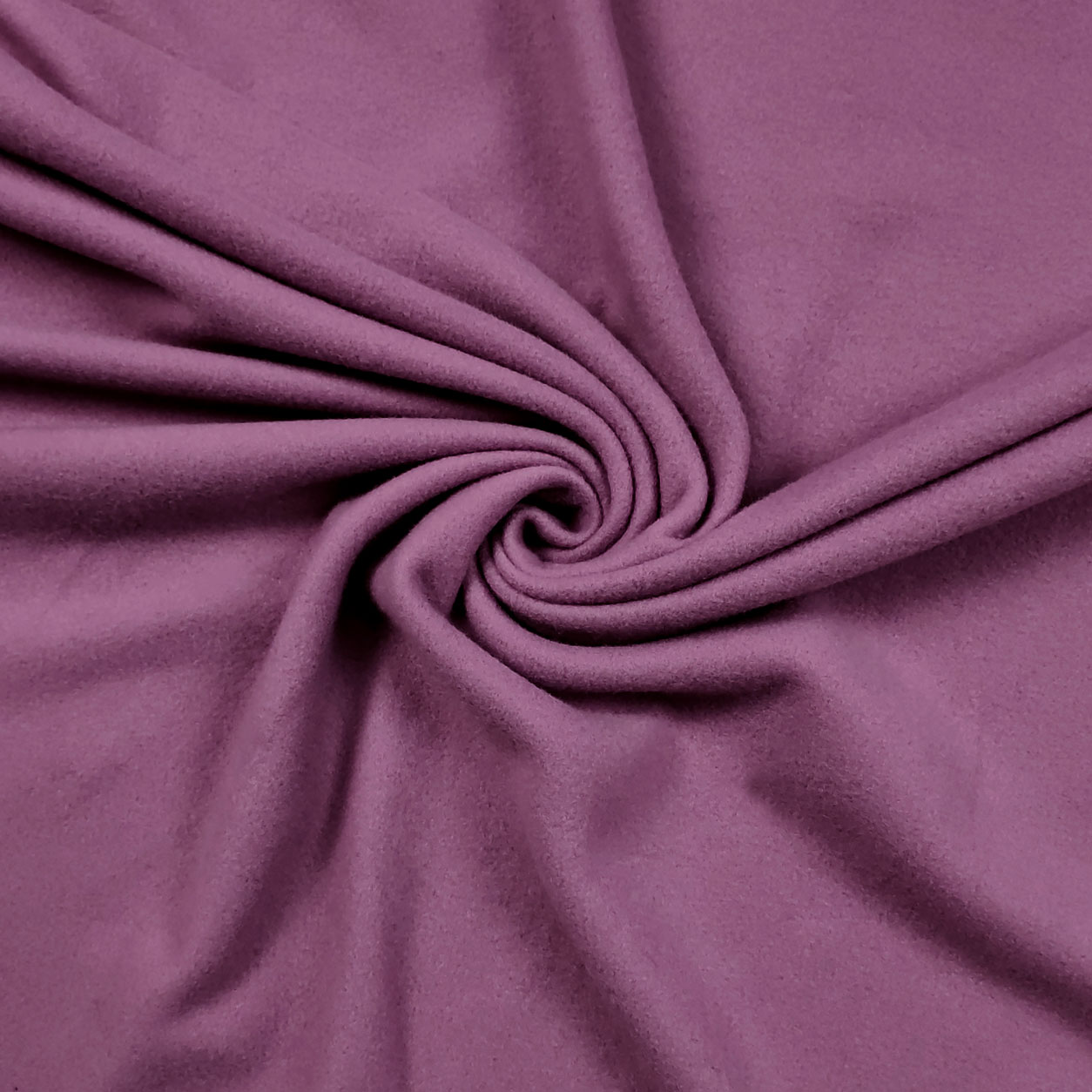 Polar Fleece  Image