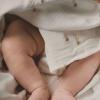 Cotton Muslin