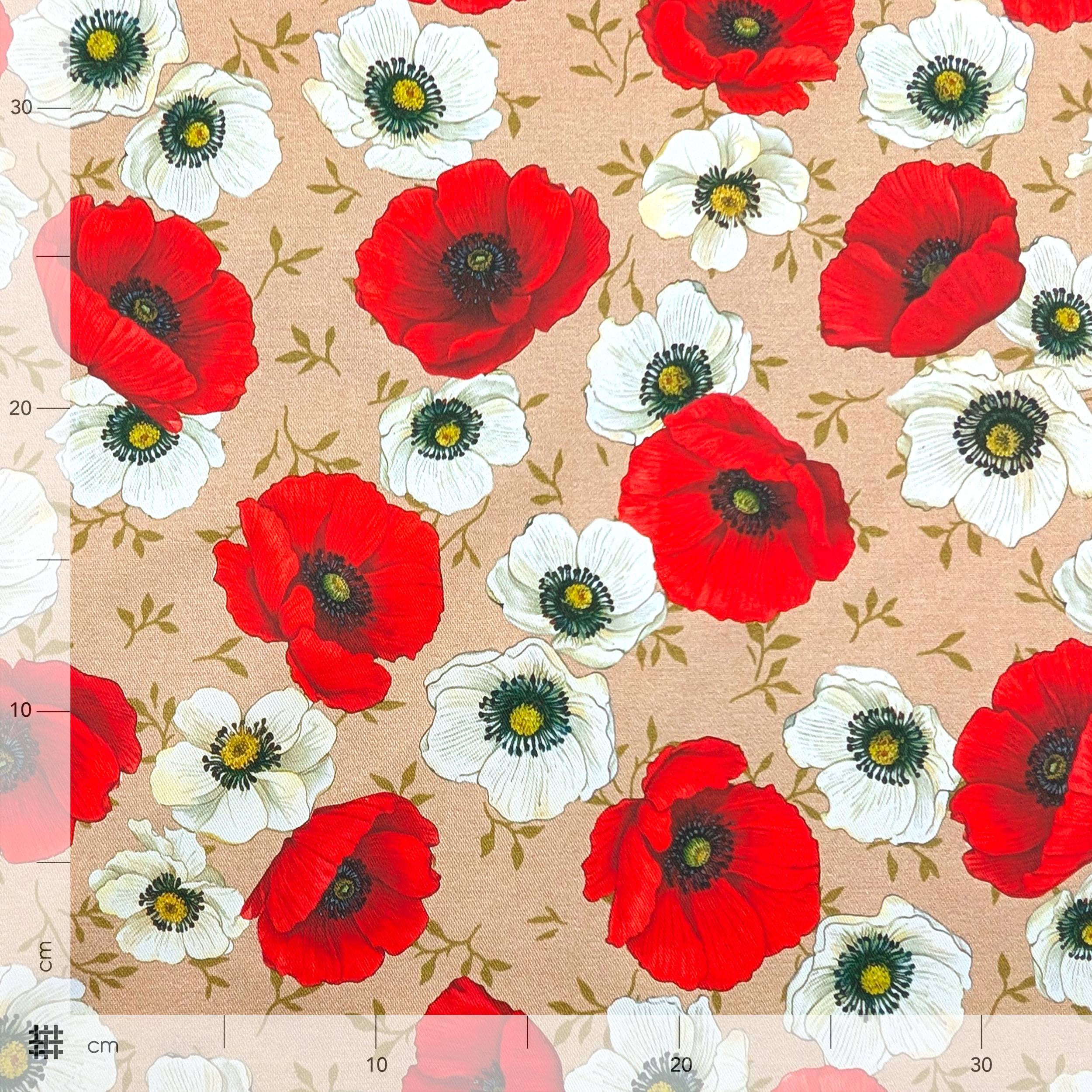Les coquelicots du Panama en fleurs Image