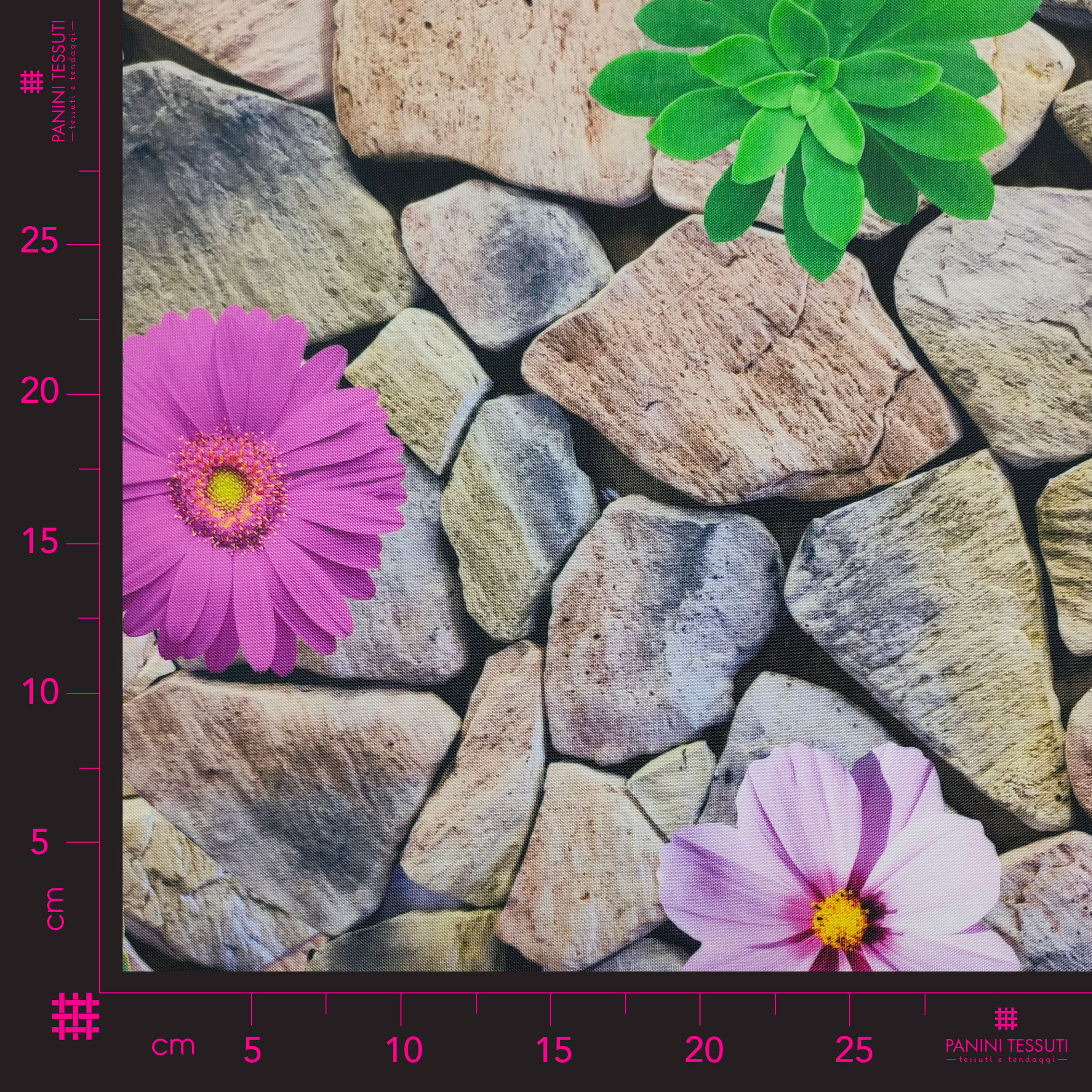Fleurs de cuisine sur pierres Image
