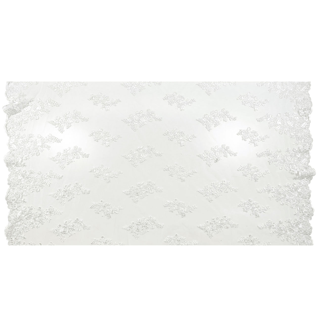 Double Edge Scalloped Lace Image