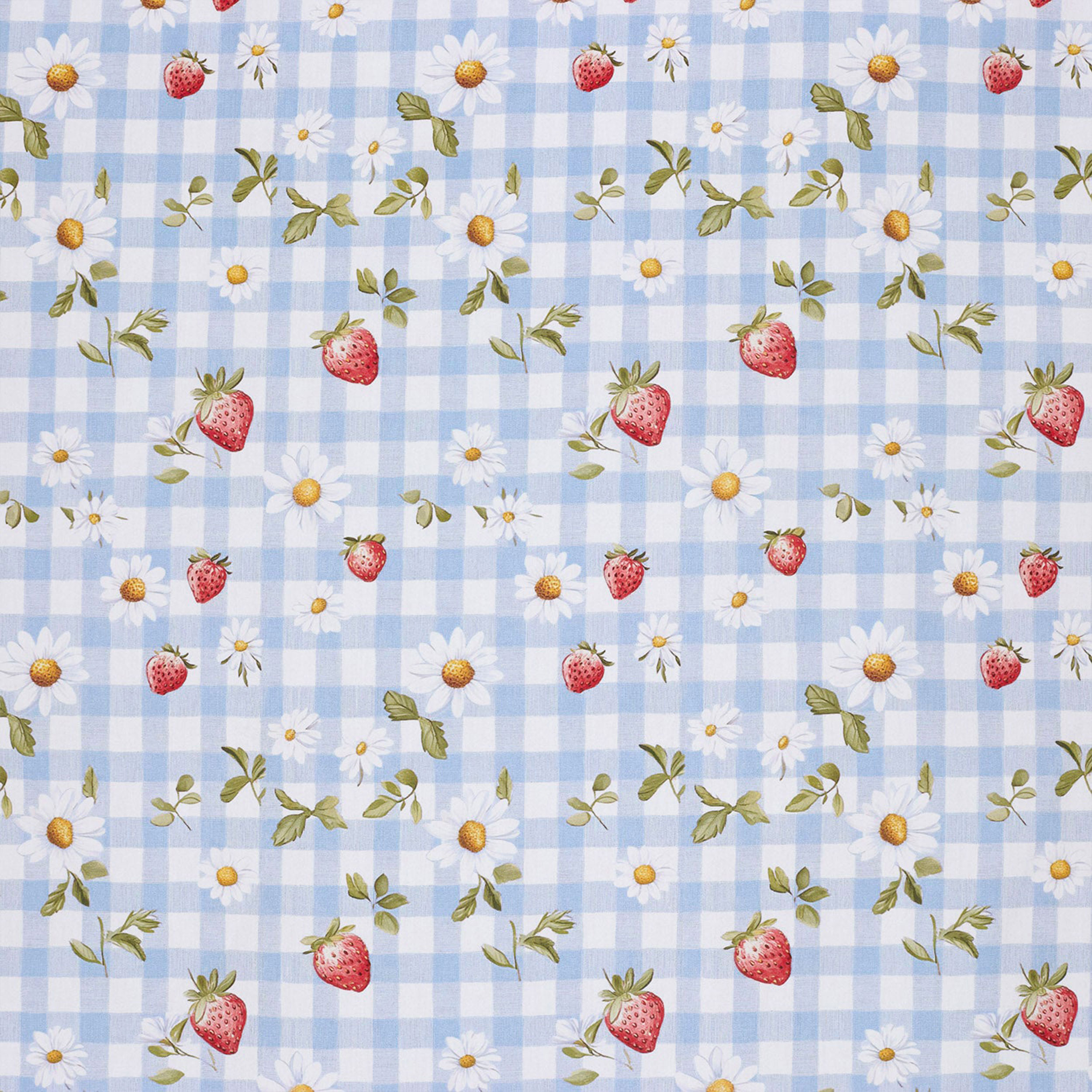 Light Blue and Strawberry Check Cotton Poplin Image