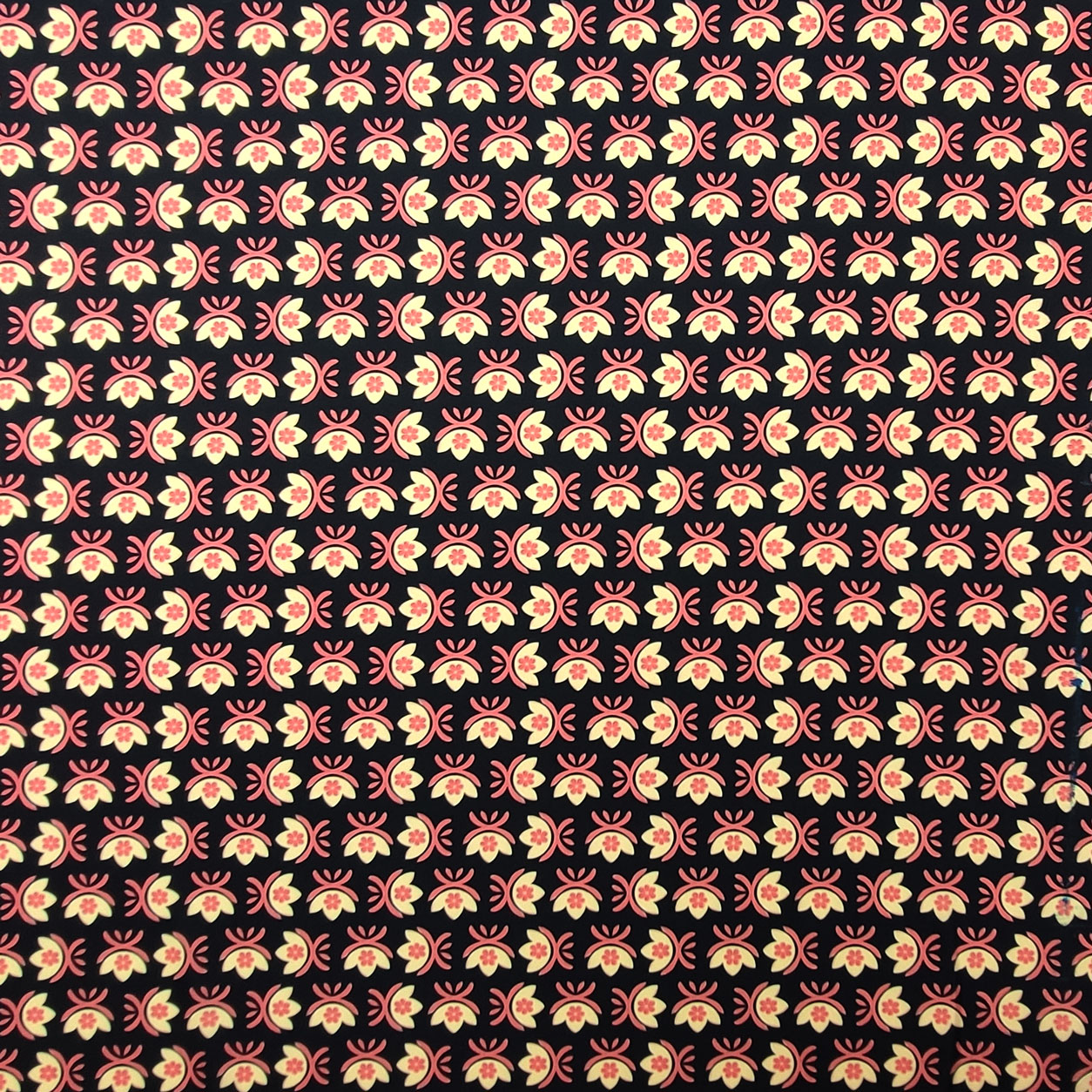 Rasetto Black Print High Fashion Image