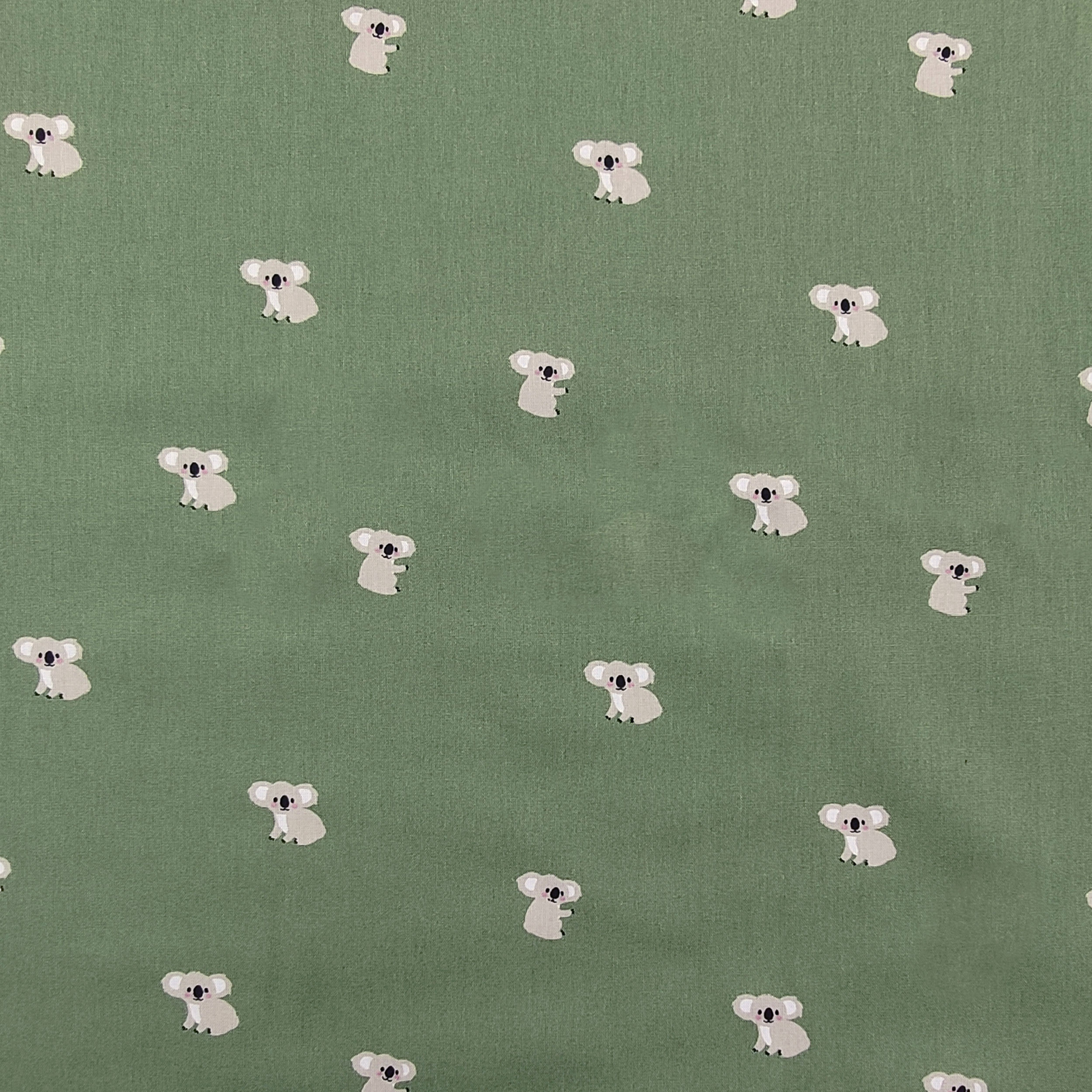 Popeline de coton Koala Fond vert