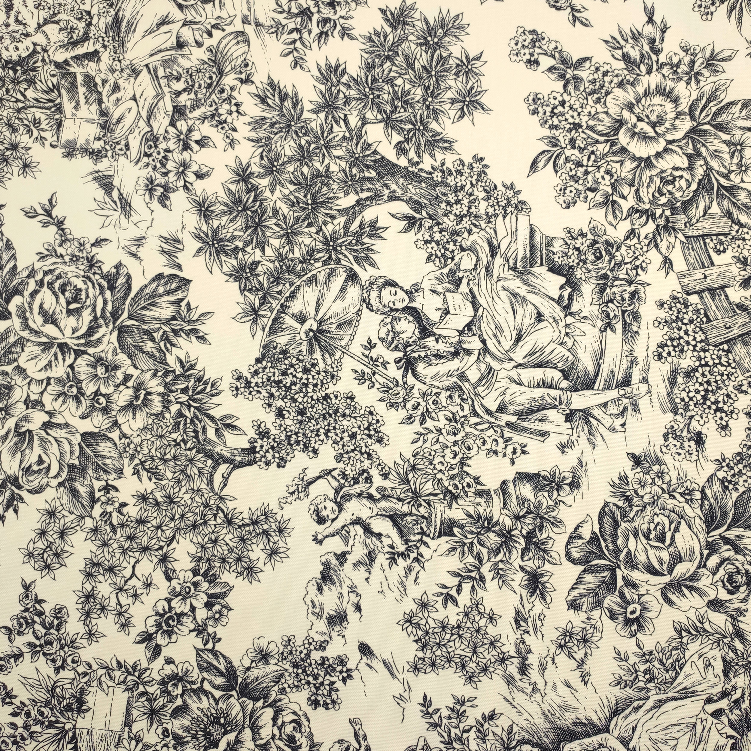 Panama Fabric Toile De Jouy Black Cream Background