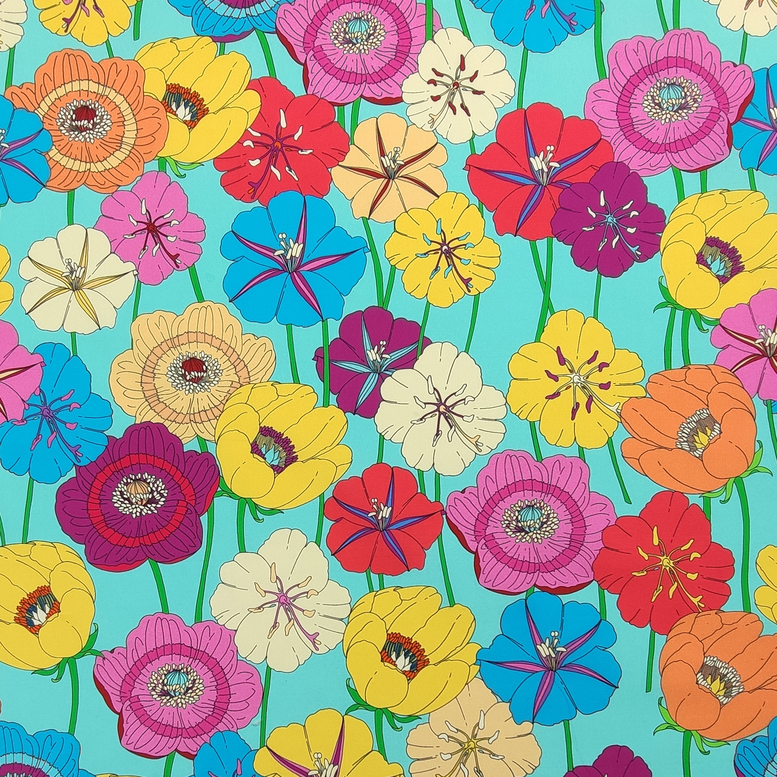 Cotton Coloured Flowers Turquoise Background