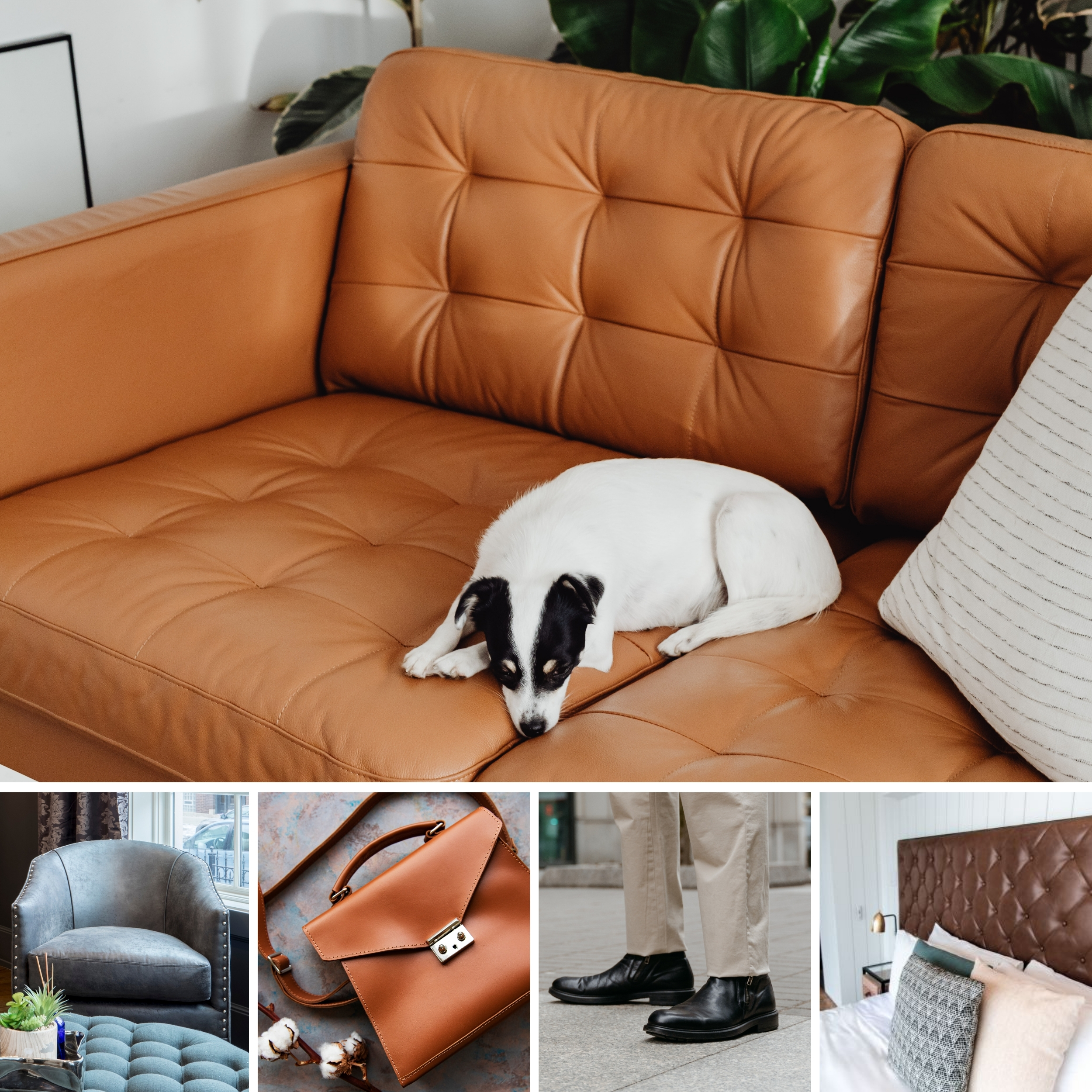 Faux Leather Matte Lux Image