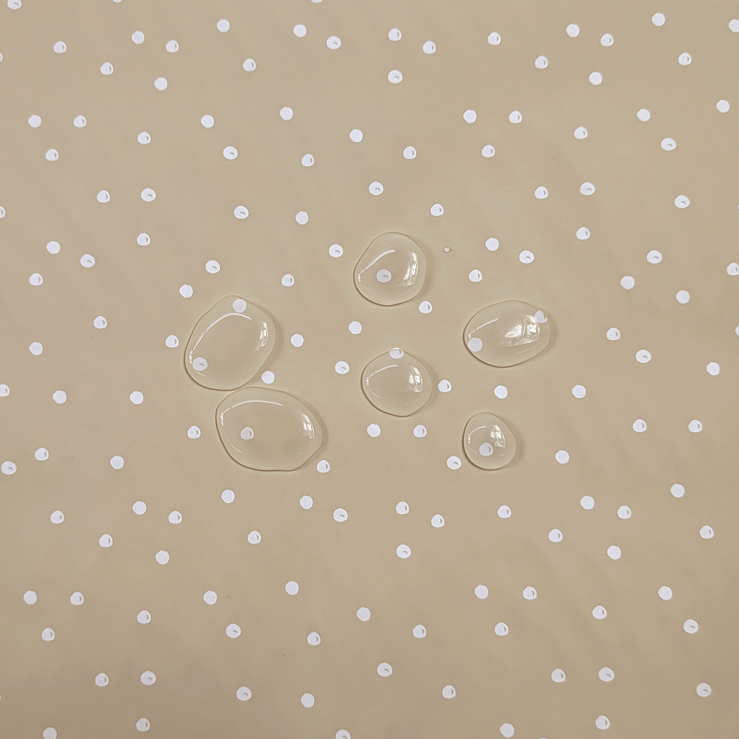 Mackintosh White Polka Dots Beige Background Image