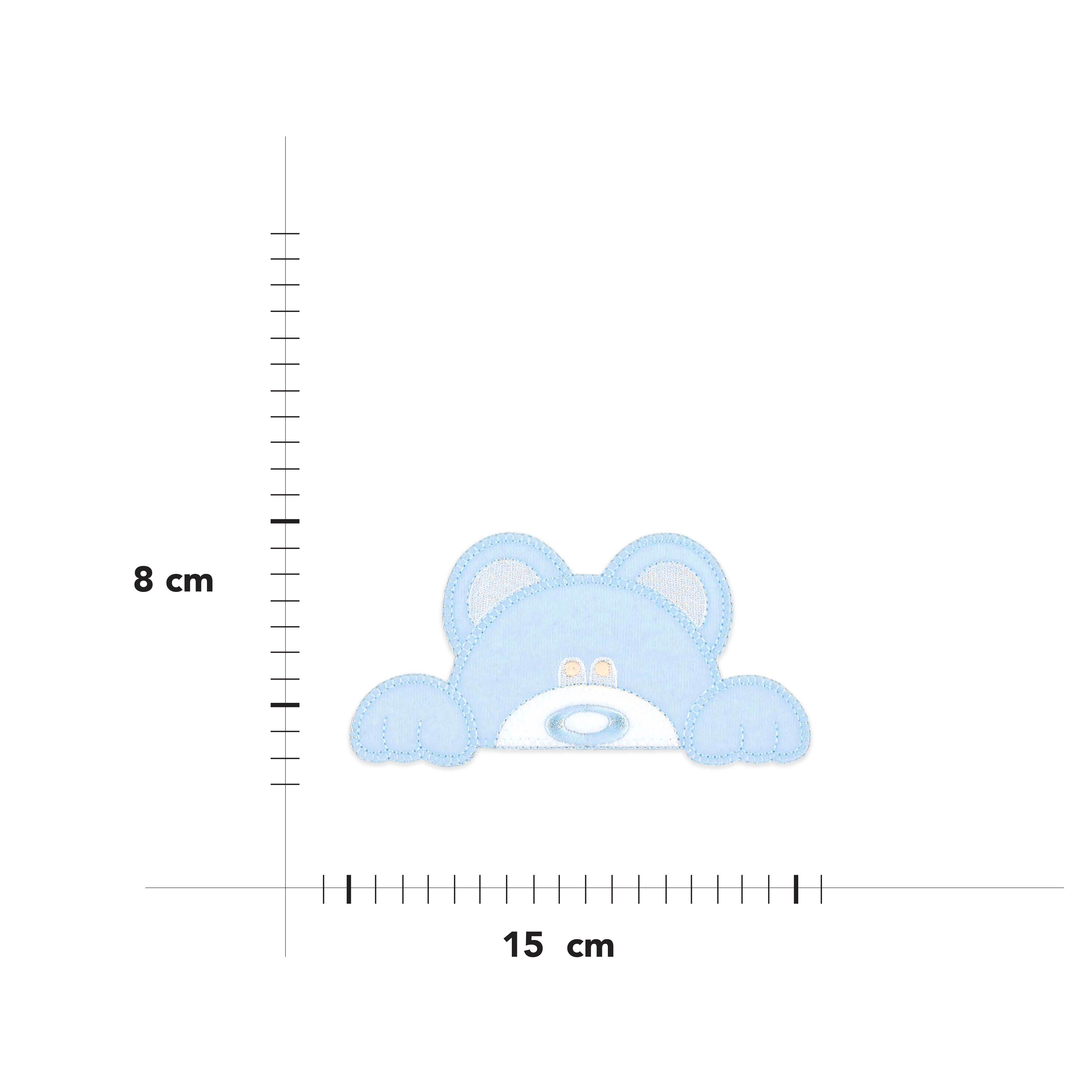 Teddy Bear Application Image