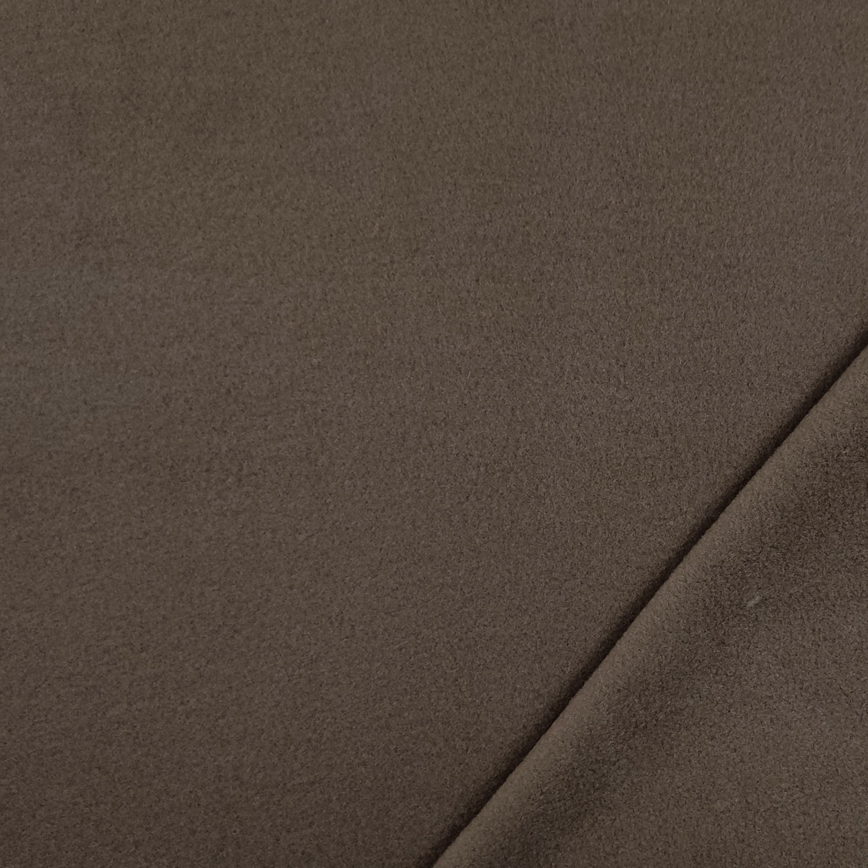 Polar Fleece  Image