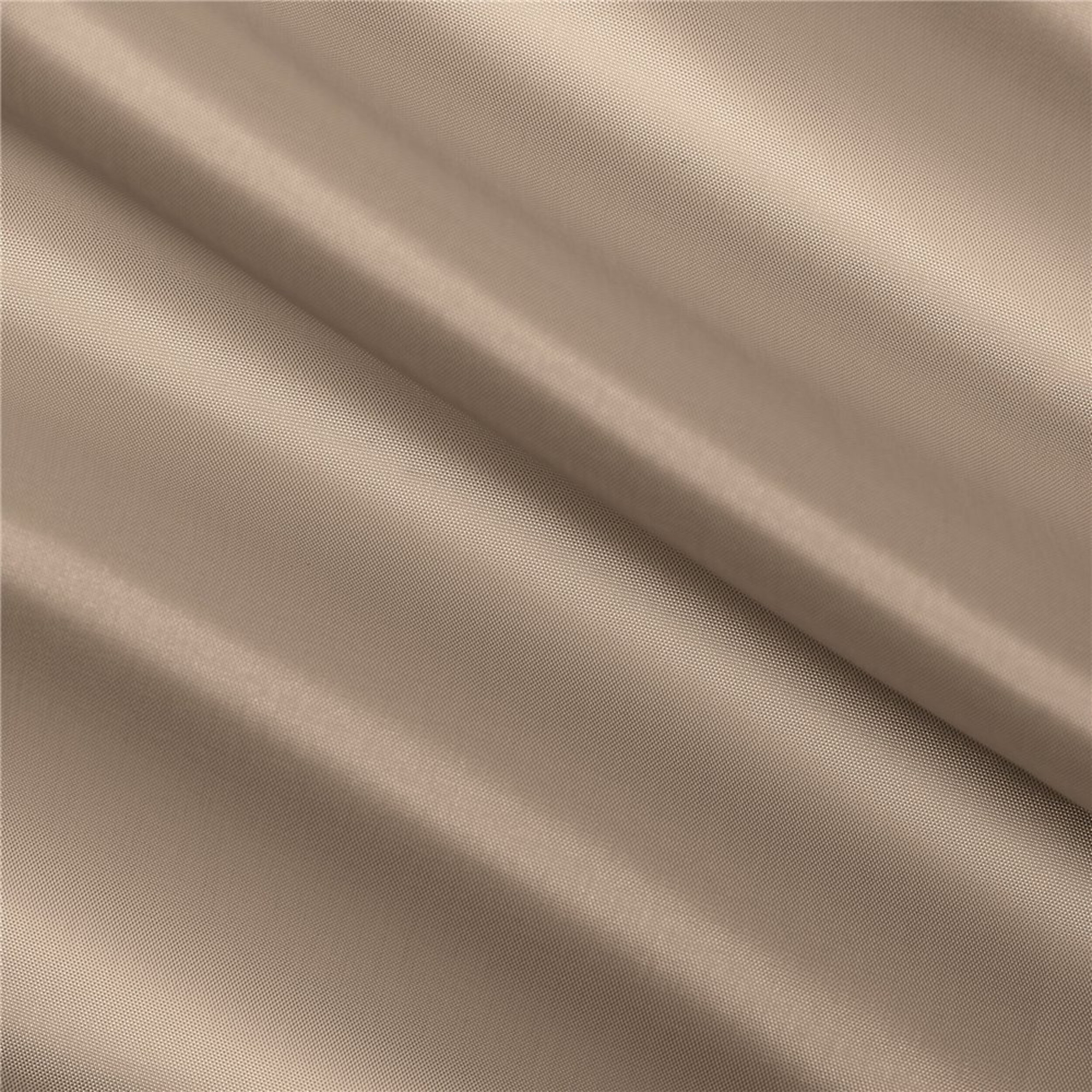 Camel - 252