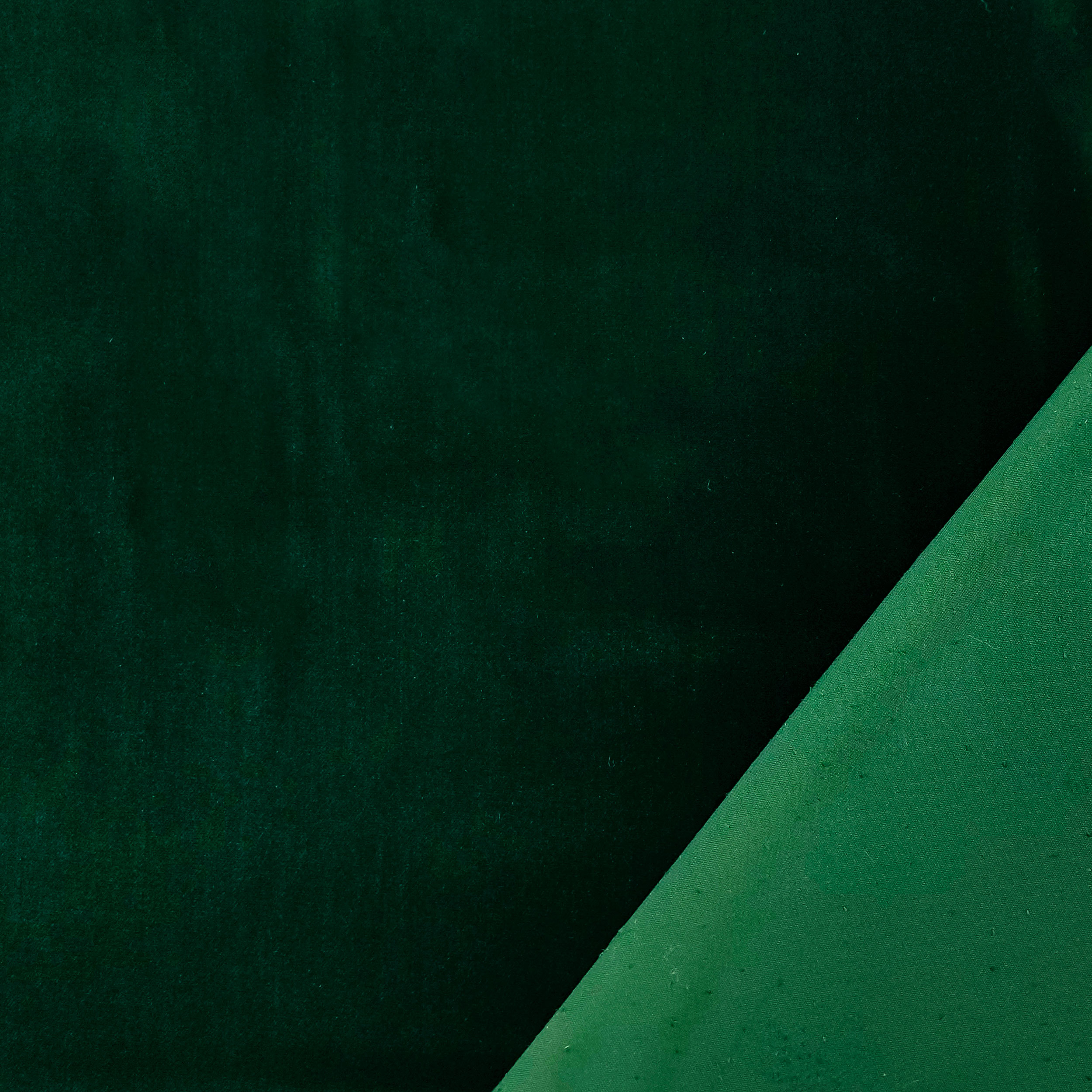 Mode velours vert Image