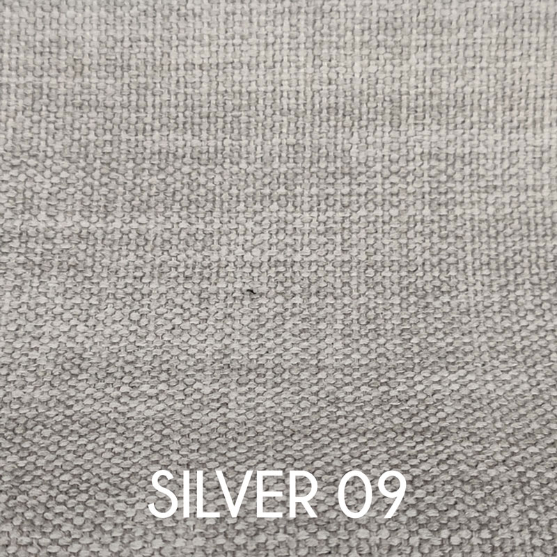 Silver-09 3