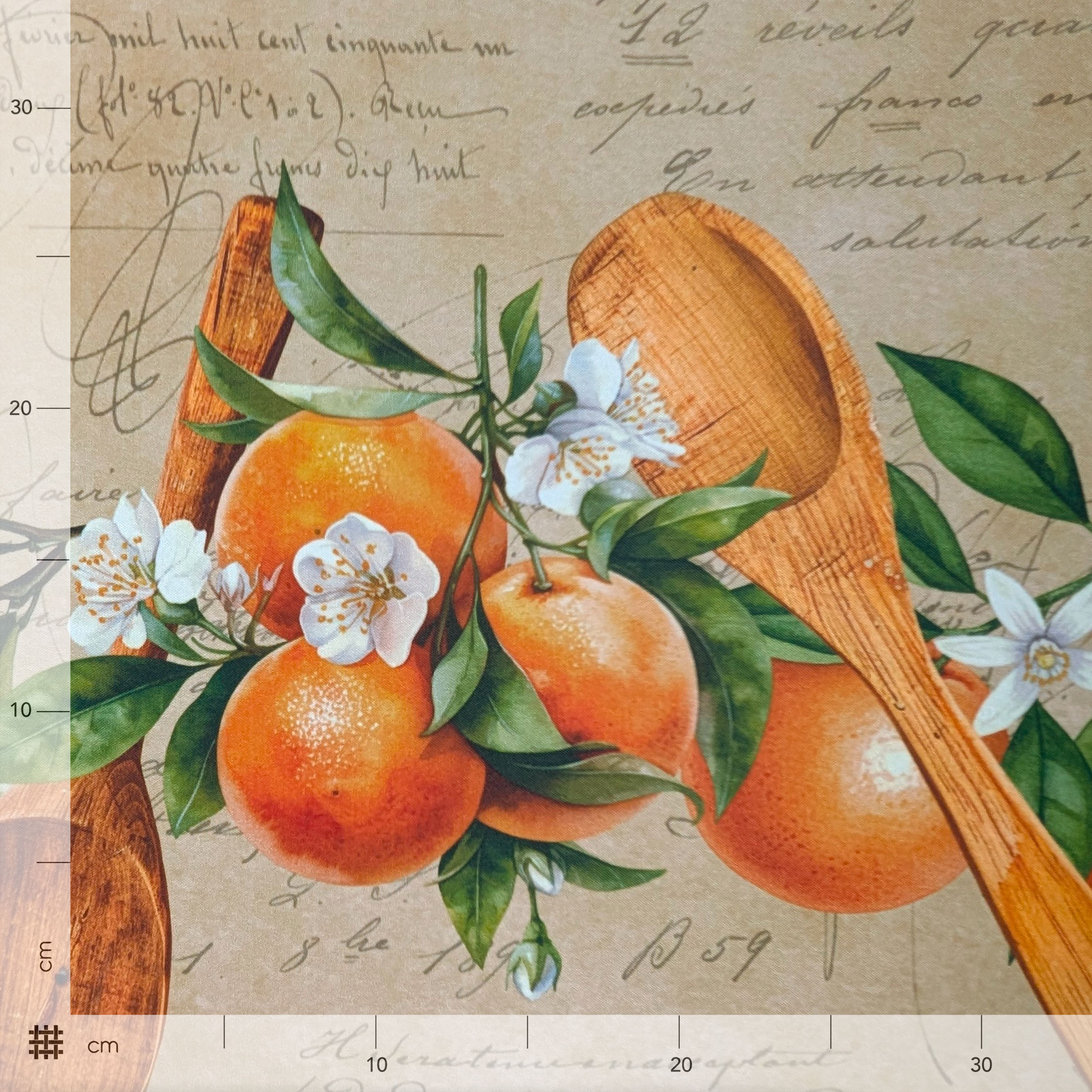 Citrus Fruit Kitchen Mash Image