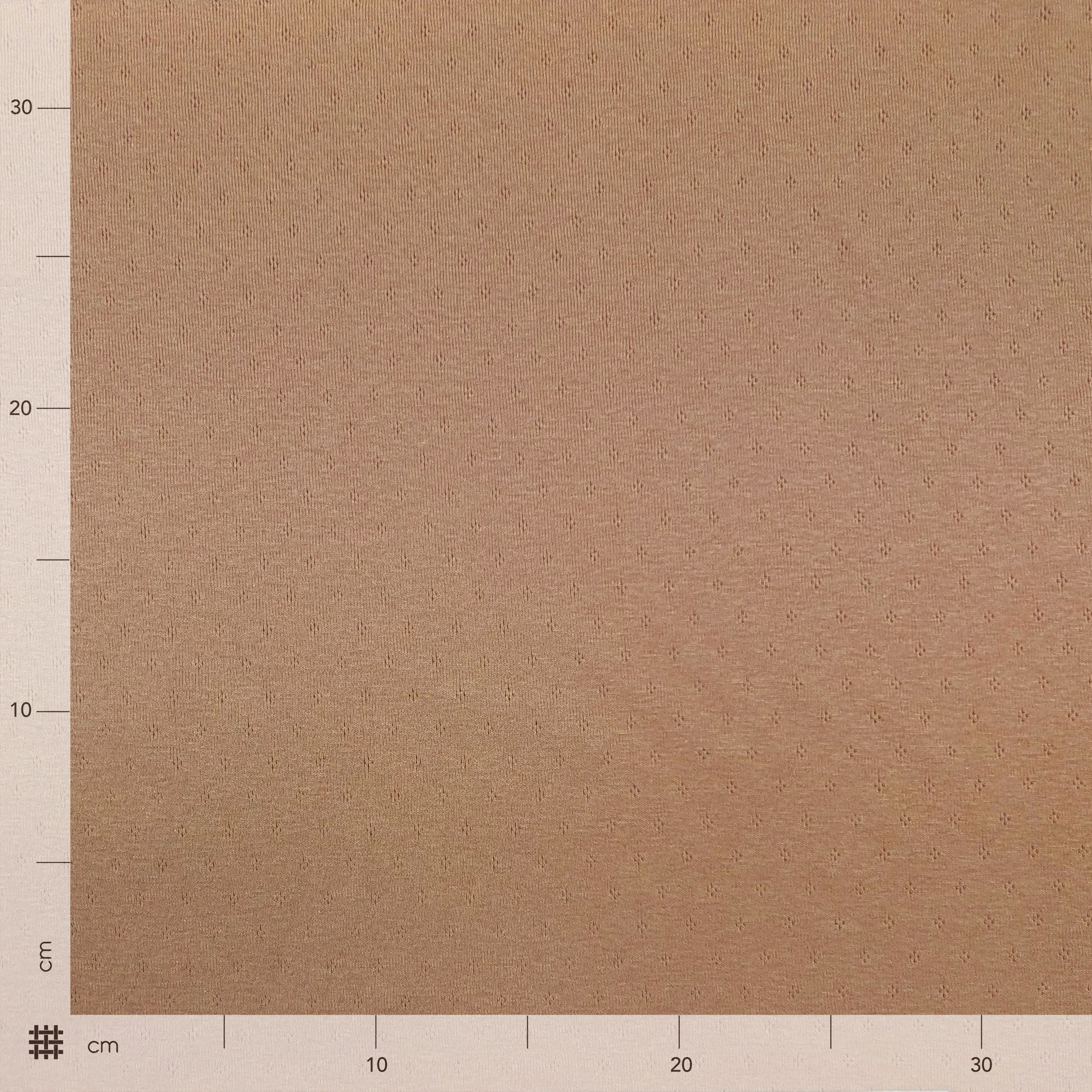 Cotton Floral Perforated Jersey on a Hazelnut Background Image
