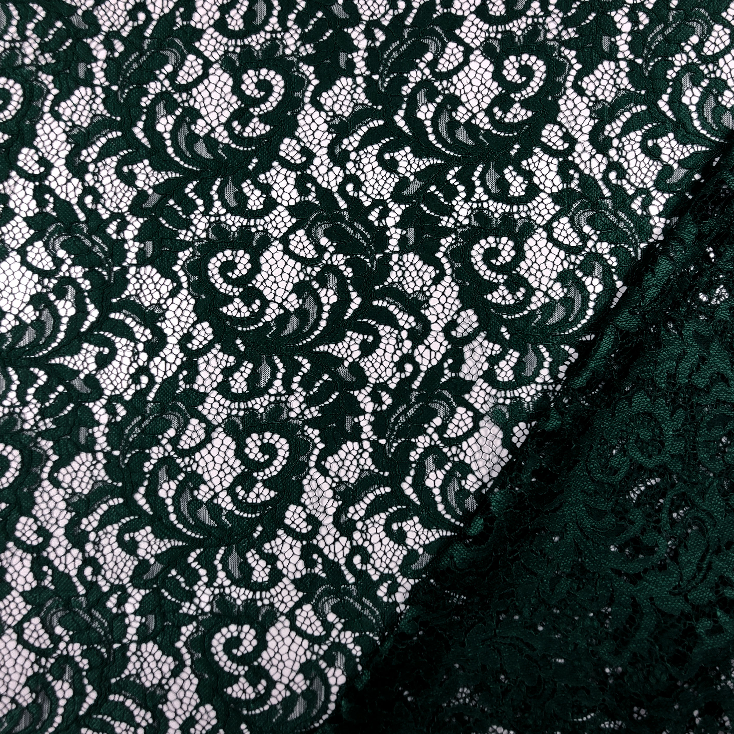 Micky Lace Image