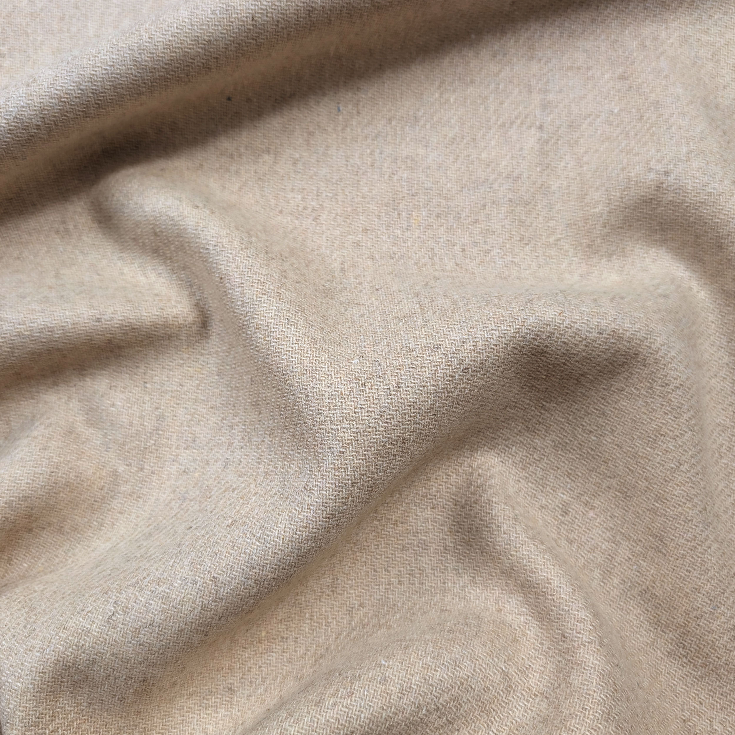 Beige Wool Blend Heavy Coat Image