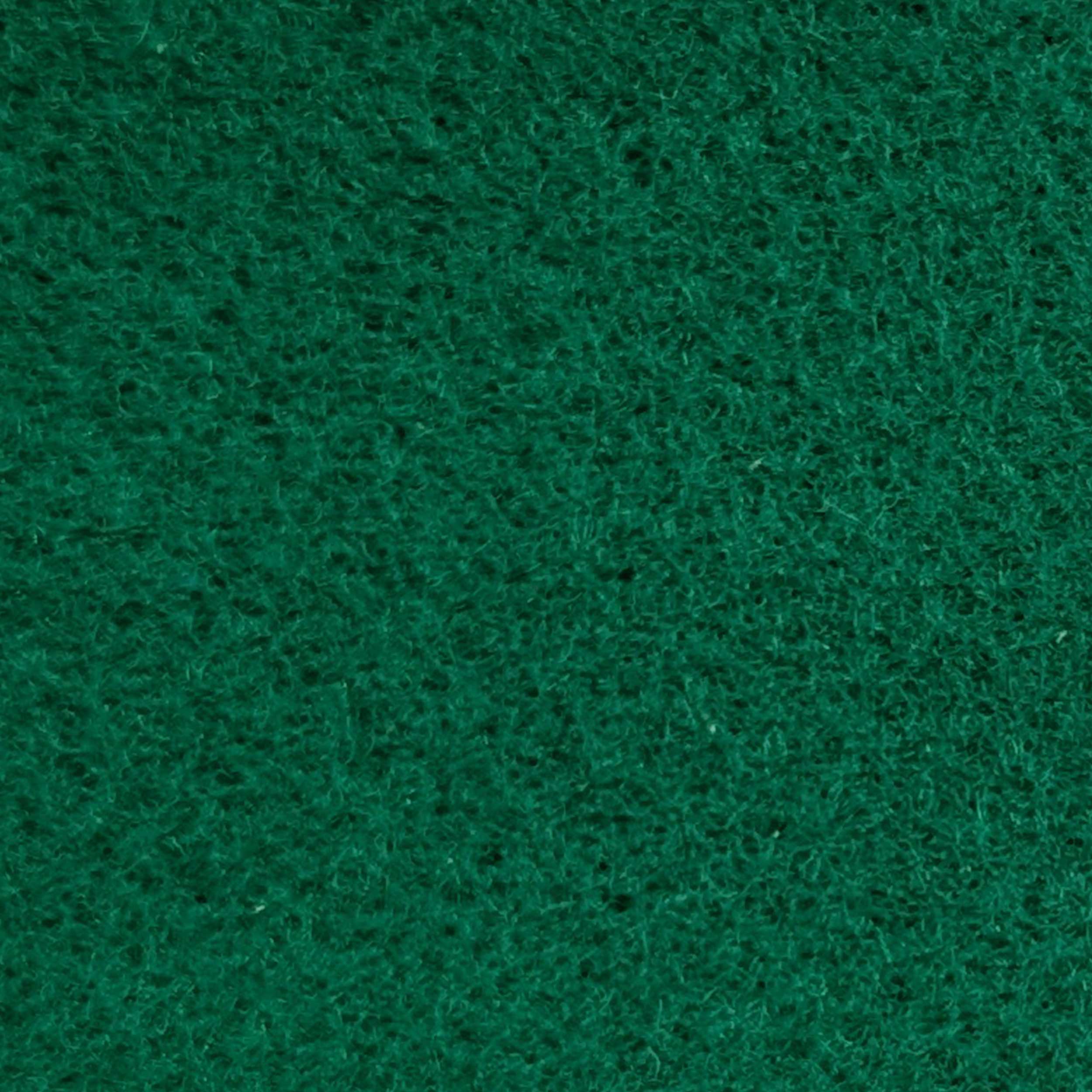 Carpet Image