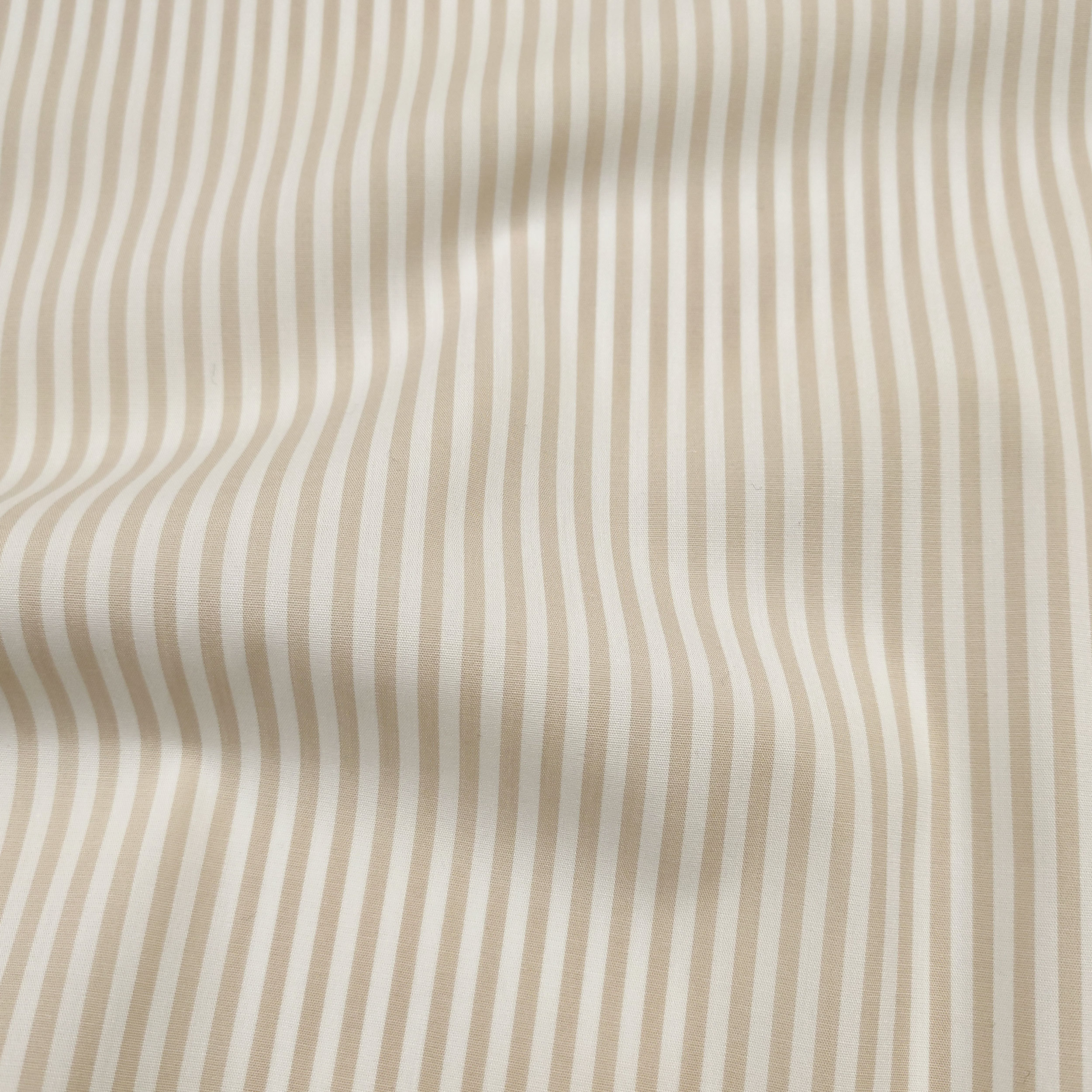 Cotton for Shirts Stripes Beige